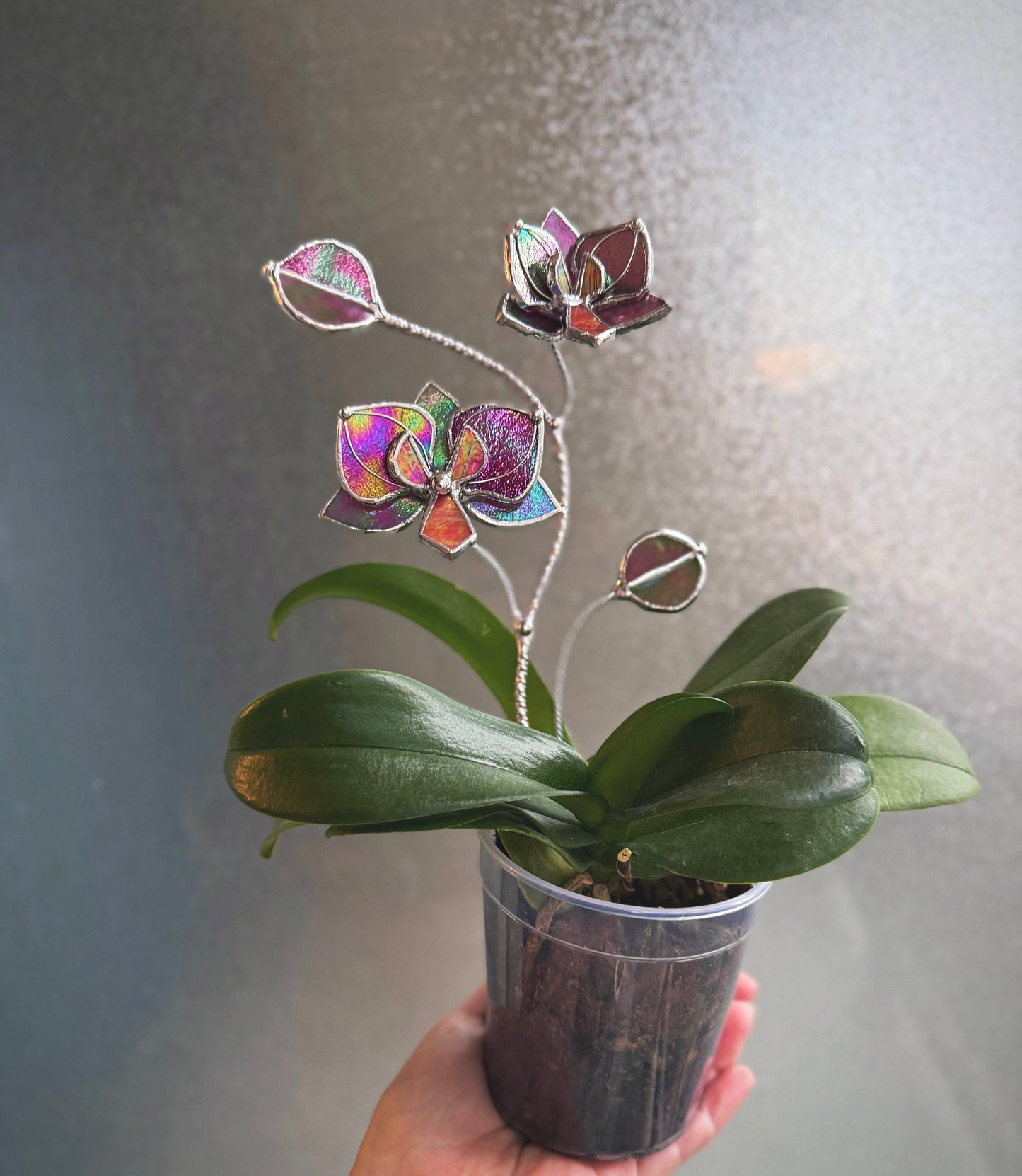 " . Mauve irid Orchid flower stick, Plant stake 2 flowers no pot” Stained glass tropical flower 3D, Sun catcher, Table plant, Garden stick, Outdoor and gardening decor (Copy)