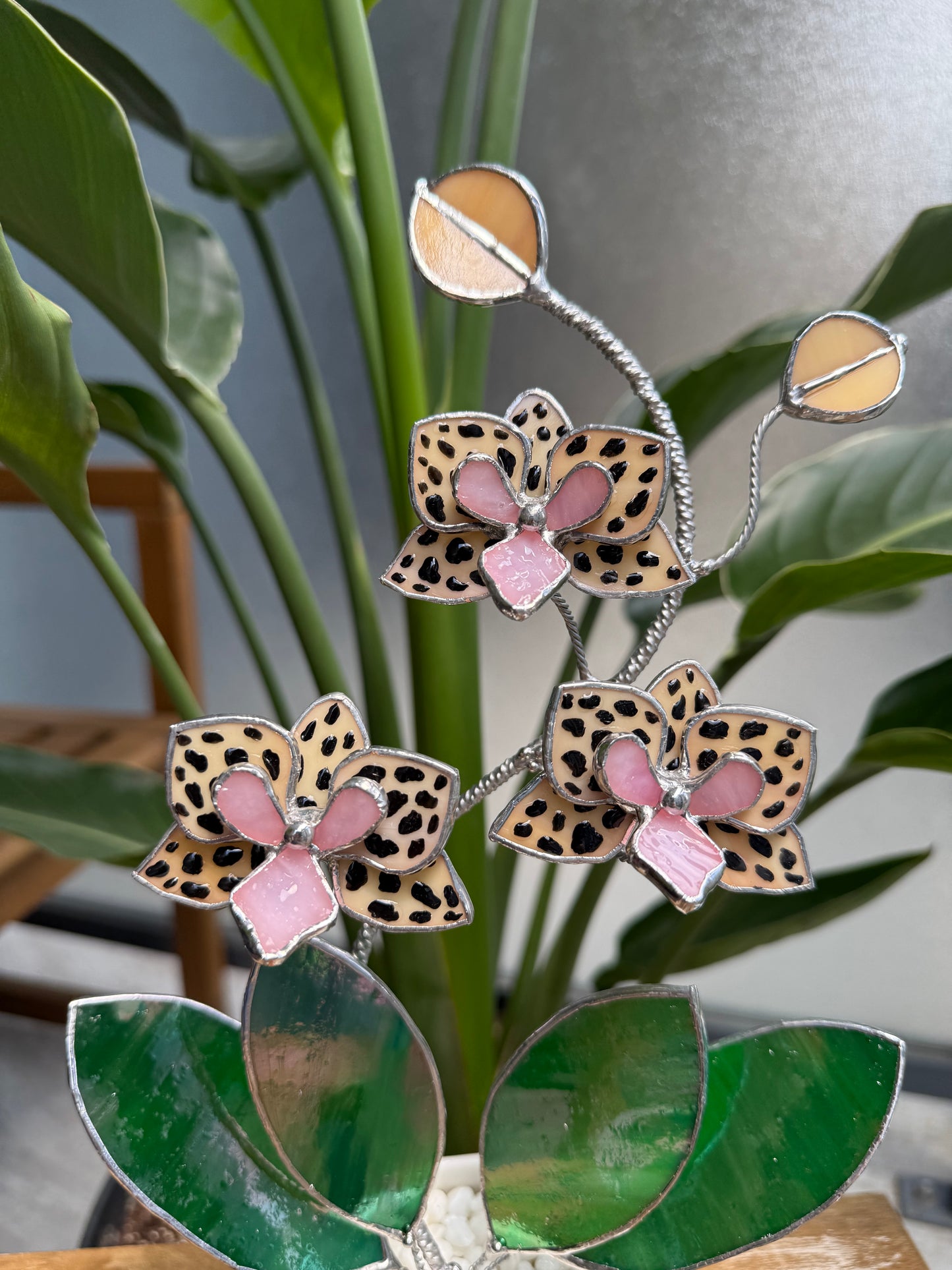 .Hand Painted Tiger Orchid in a pot, 3 flowers Botanical Stained Glass Modern Art Decor new