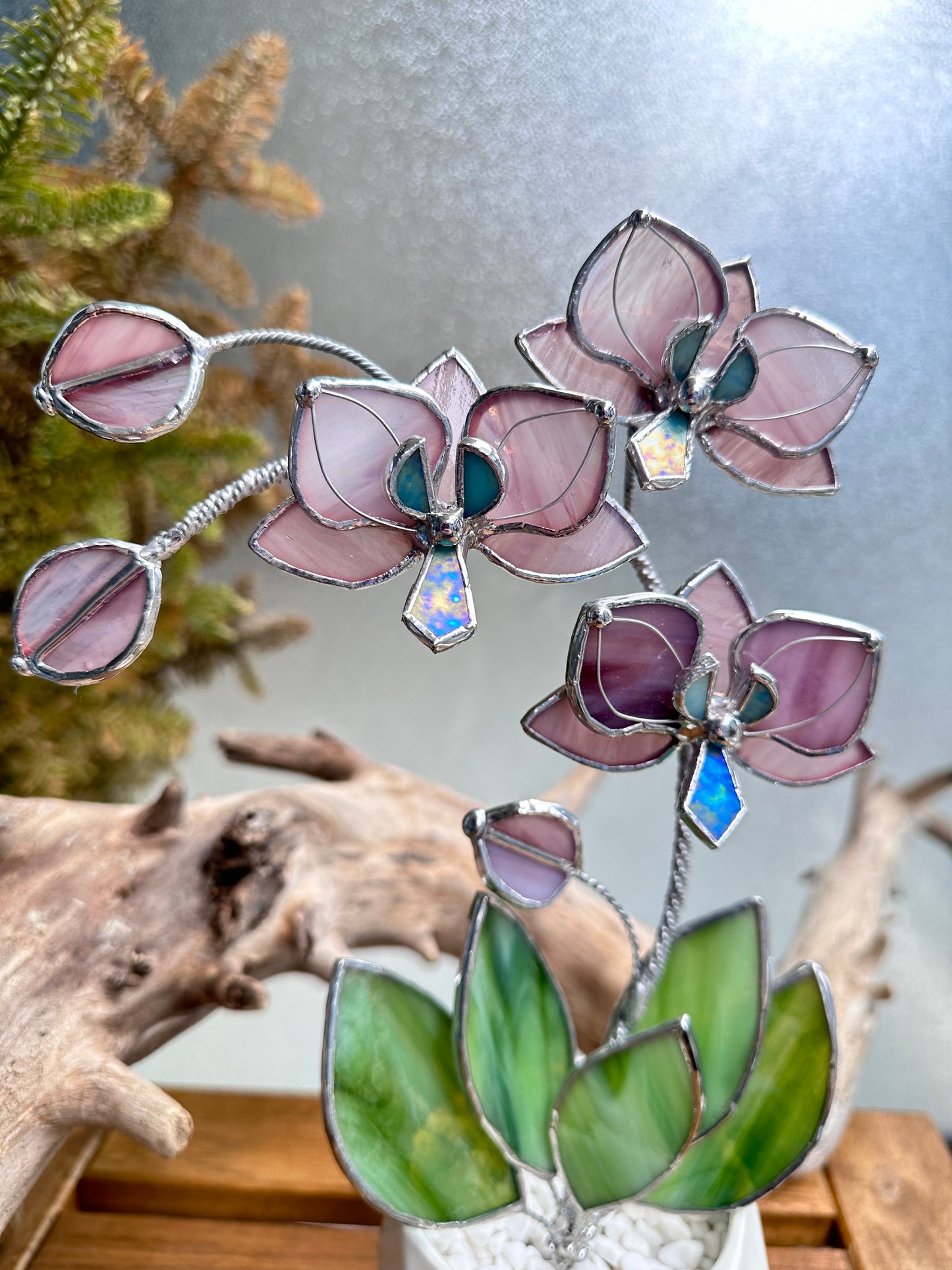 " .Dusty Rose translucent Orchid 3 flowers with pot” Stained glass tropical flower 3D, Sun catcher, Table plant, Garden stick, Outdoor and gardening decor