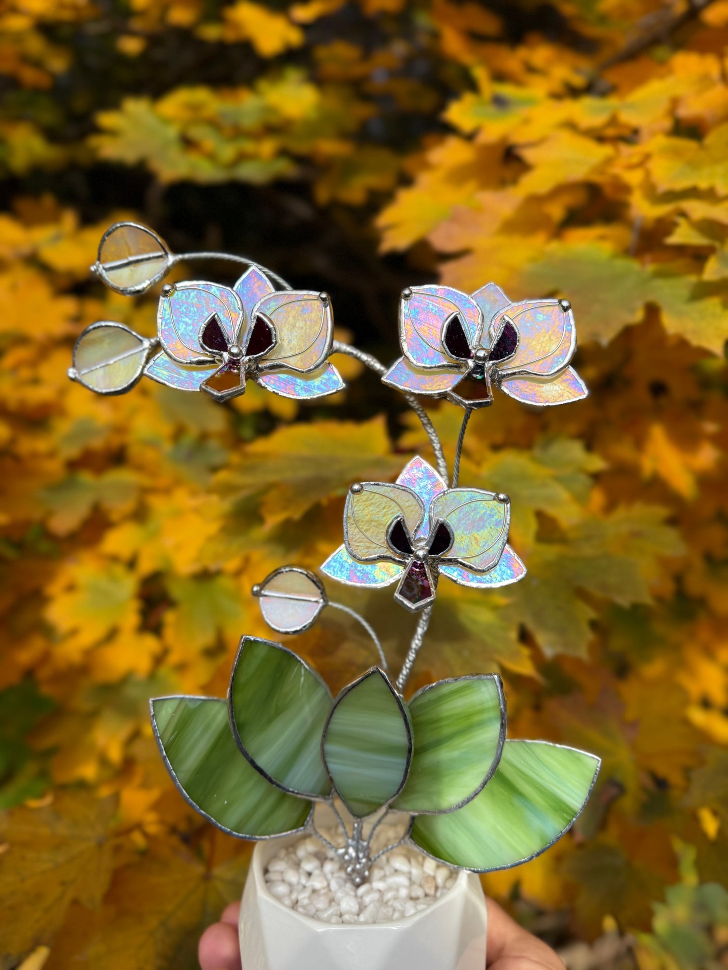 " . Lemon yellow iridescent Orchid 3 flowers with pot” Stained glass tropical flower 3D, Sun catcher, Table plant, Garden stick, Outdoor and gardening decor