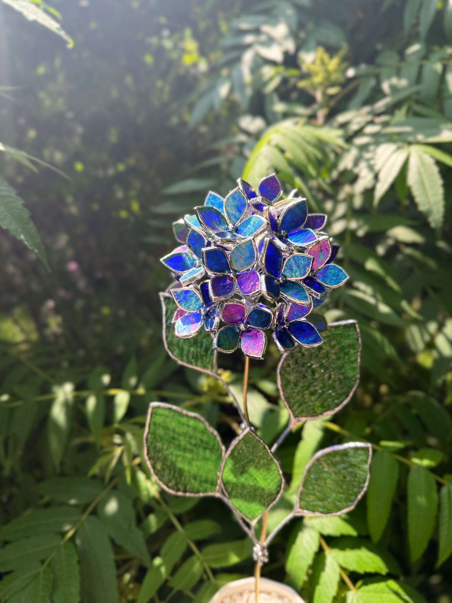 " . Beautiful Hydrangea Indigo iridescent bunch in the pot”, Stained glass tropical flower