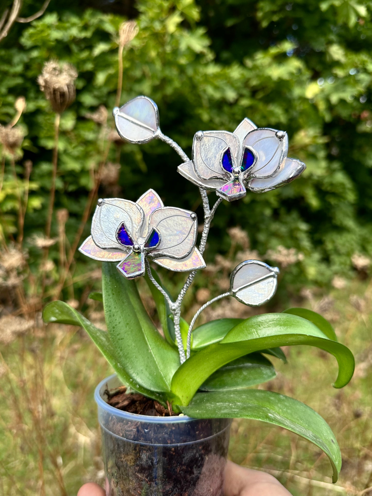 " . White pearl iridescent Orchid flower stick, Plant stake 2 flowers no pot” Stained glass tropical flower 3D, Sun catcher, Table plant, Garden stick, Outdoor and gardening decor