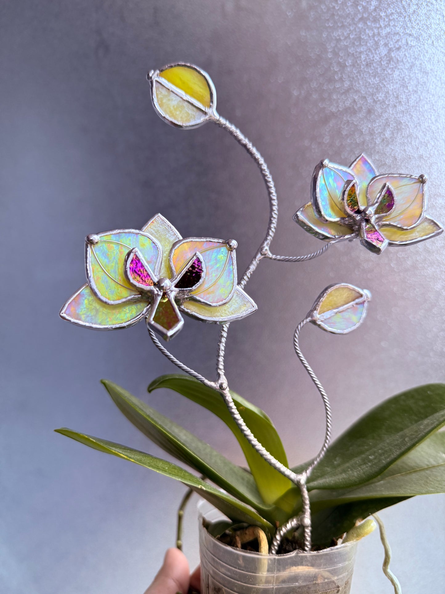 " . Lemon yellow irid Orchid flower stick, Plant stake 2 flowers no pot” Stained glass tropical flower 3D, Sun catcher, Table plant, Garden stick, Outdoor and gardening decor (Copy)