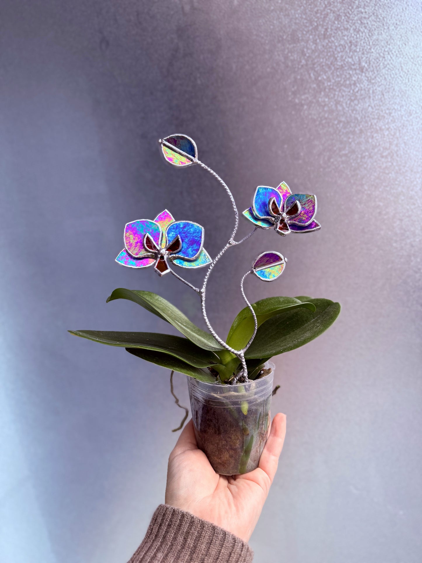 " . Indigo irid Orchid flower stick, Plant stake 2 flowers no pot” Stained glass tropical flower 3D, Sun catcher, Table plant, Garden stick, Outdoor and gardening decor