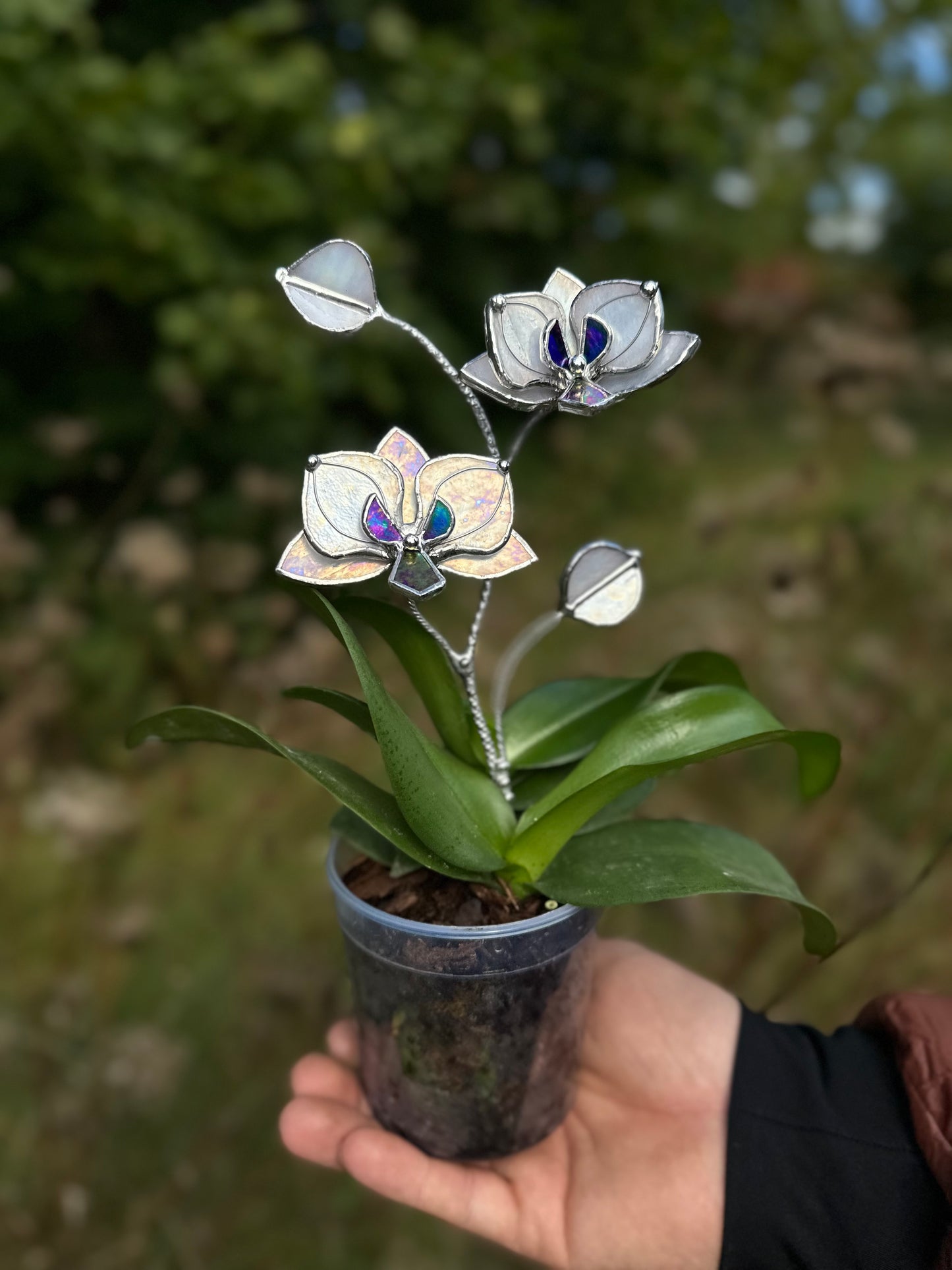 " . White pearl iridescent Orchid flower stick, Plant stake 2 flowers no pot” Stained glass tropical flower 3D, Sun catcher, Table plant, Garden stick, Outdoor and gardening decor