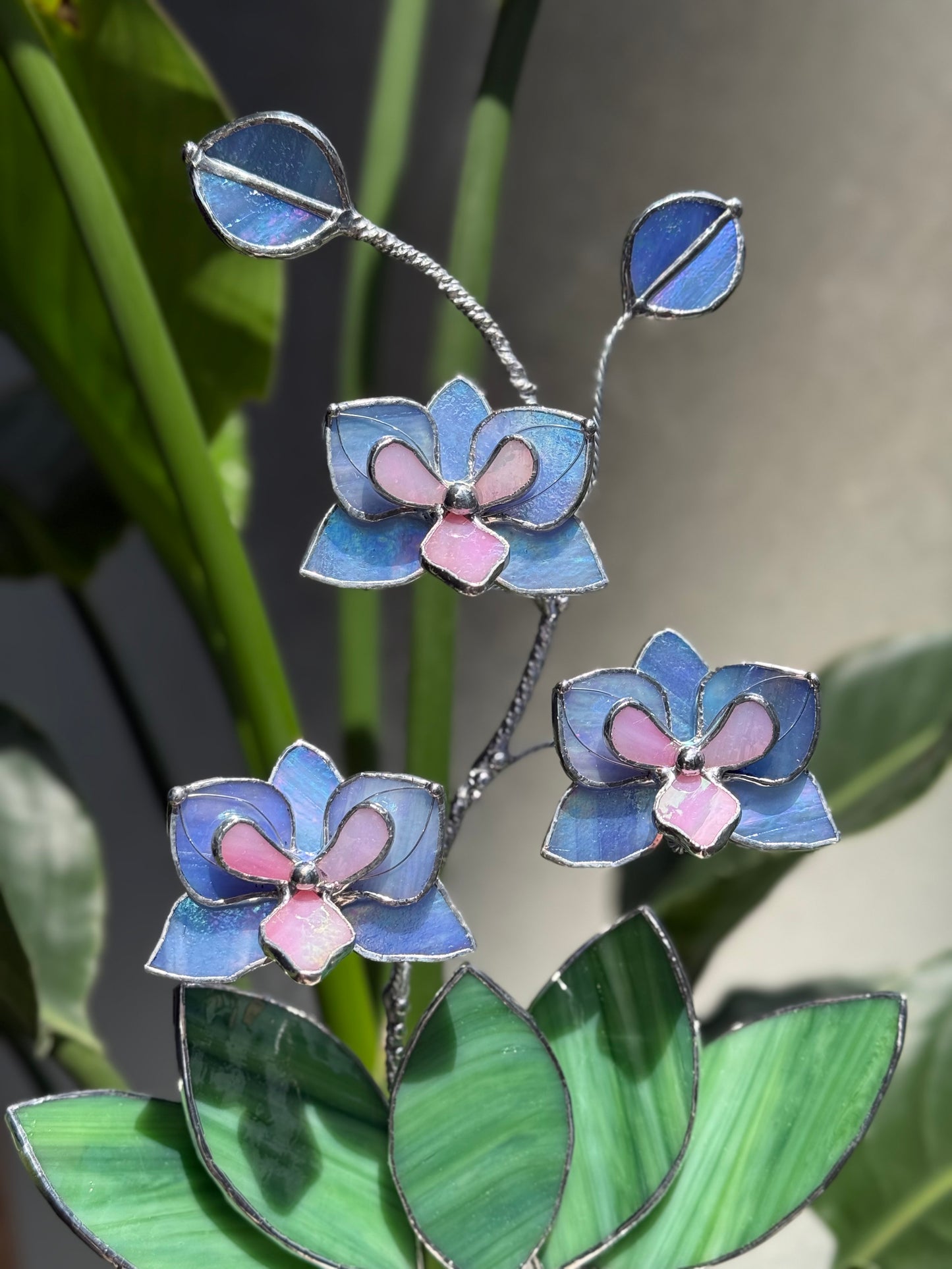 .Blue Lavender Orchid in a pot, 3 flowers Botanical Stained Glass Modern Art Decor new
