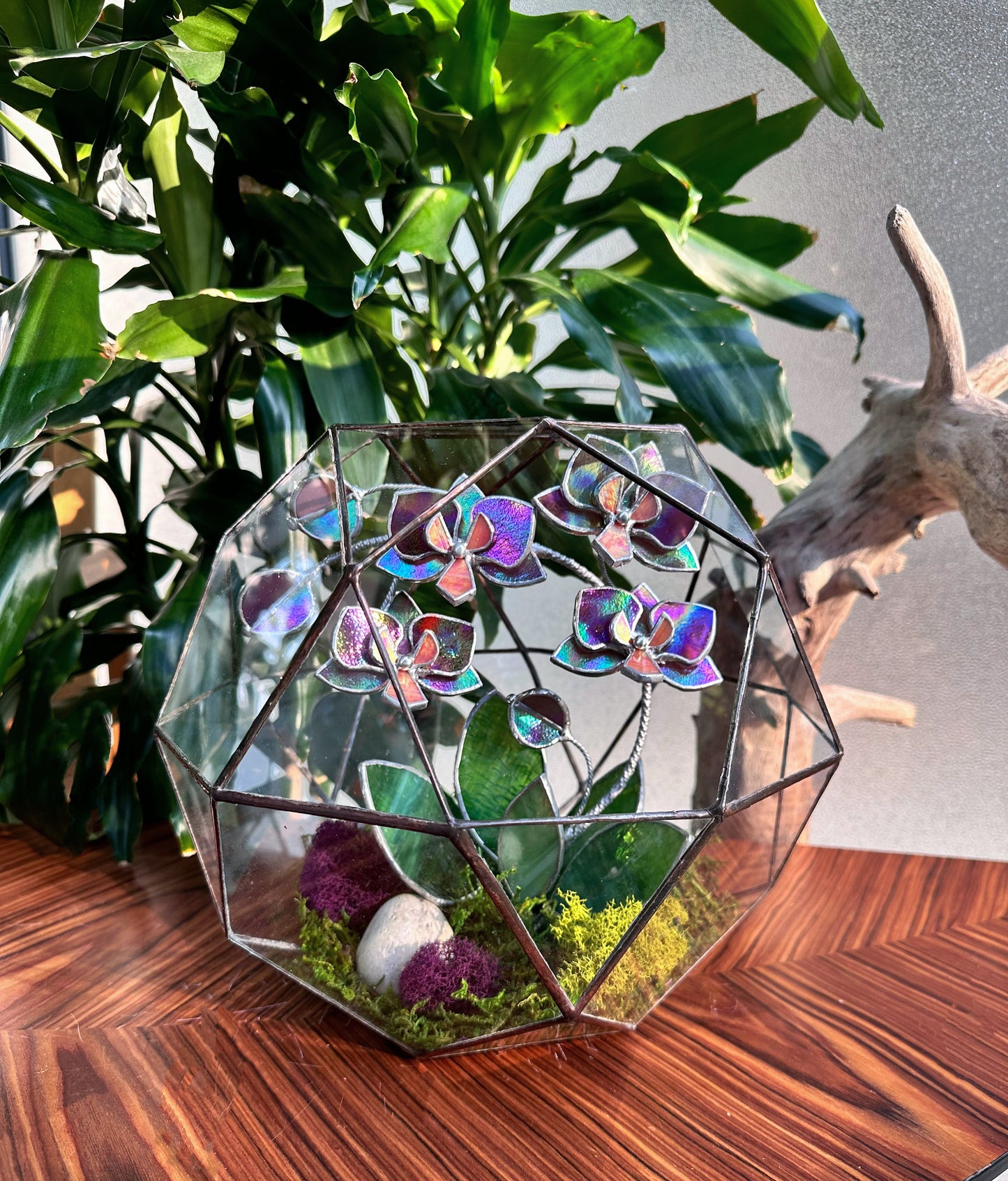 " . Geometric glass 3D terrarium Sphere with stained glass iridescent orchid. Wedding glass decor, Mother’s Day  gift, glass art, suncatcher, succulents, cacti