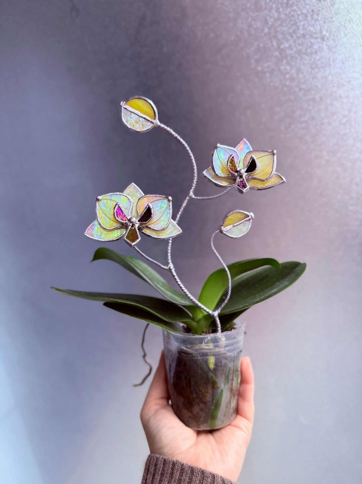 " . Lemon yellow irid Orchid flower stick, Plant stake 2 flowers no pot” Stained glass tropical flower 3D, Sun catcher, Table plant, Garden stick, Outdoor and gardening decor (Copy)