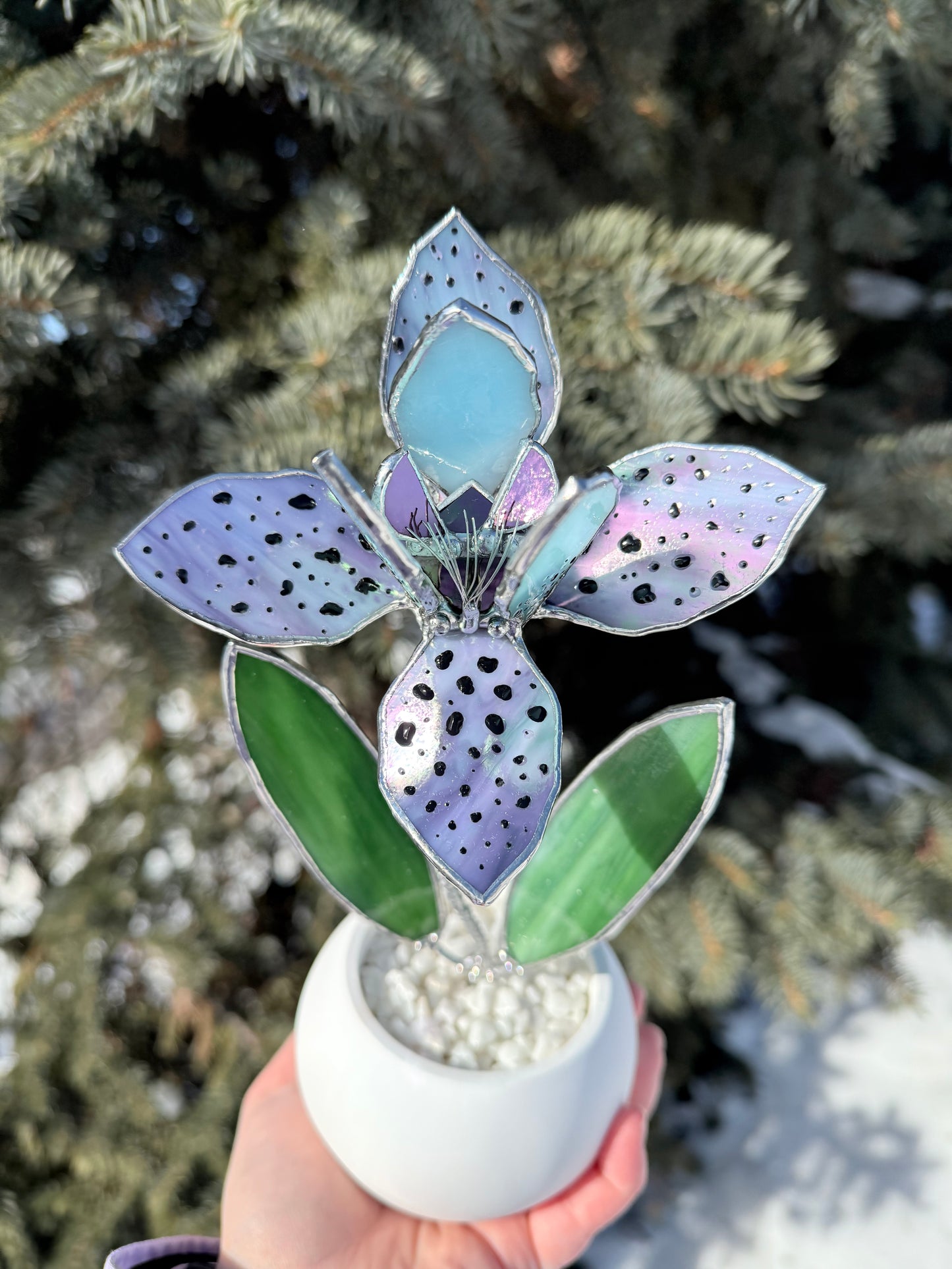 .Tropical Orchid in a pot, Botanical Stained Glass Modern Art Decor