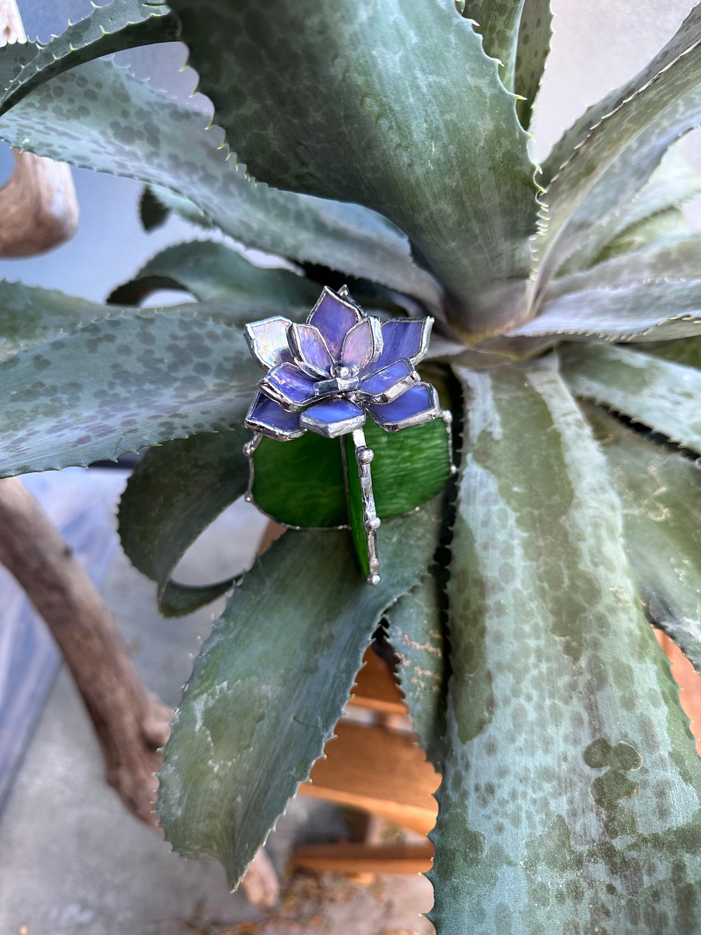 " . Cactus Lavender & Green ribbed" Stained glass Succulent 3D Cacti house plant for flower pot Sun catcher glass art wedding Christmas