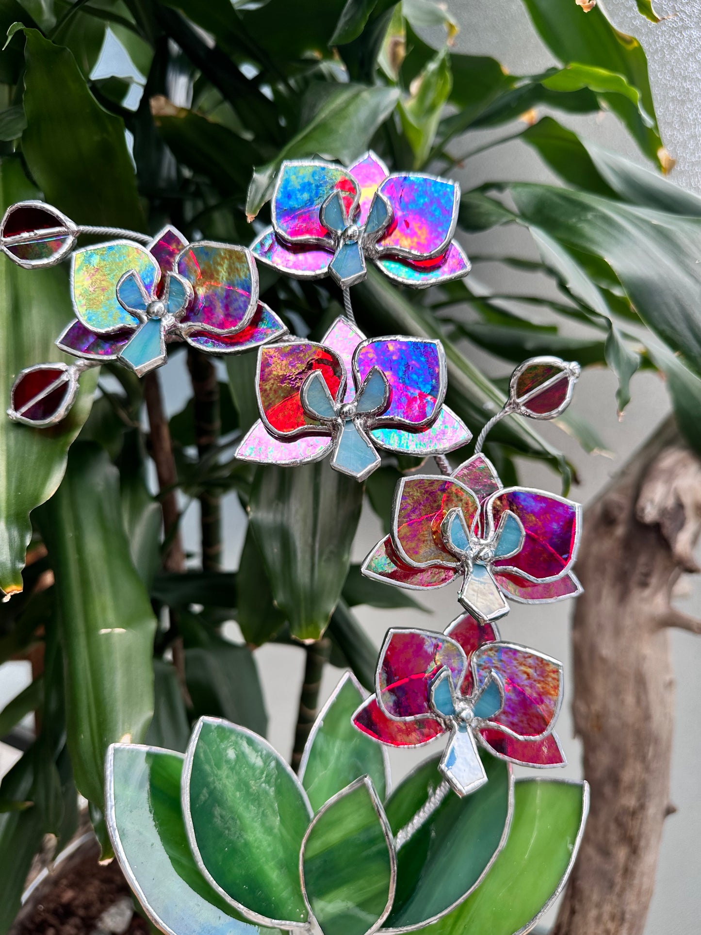 " . Red transparent iridescent Orchid 5 flowers with pot" Stained glass tropical flower 3D, Sun catcher, Table plant, Garden stick, wedding decor, Christmas gift