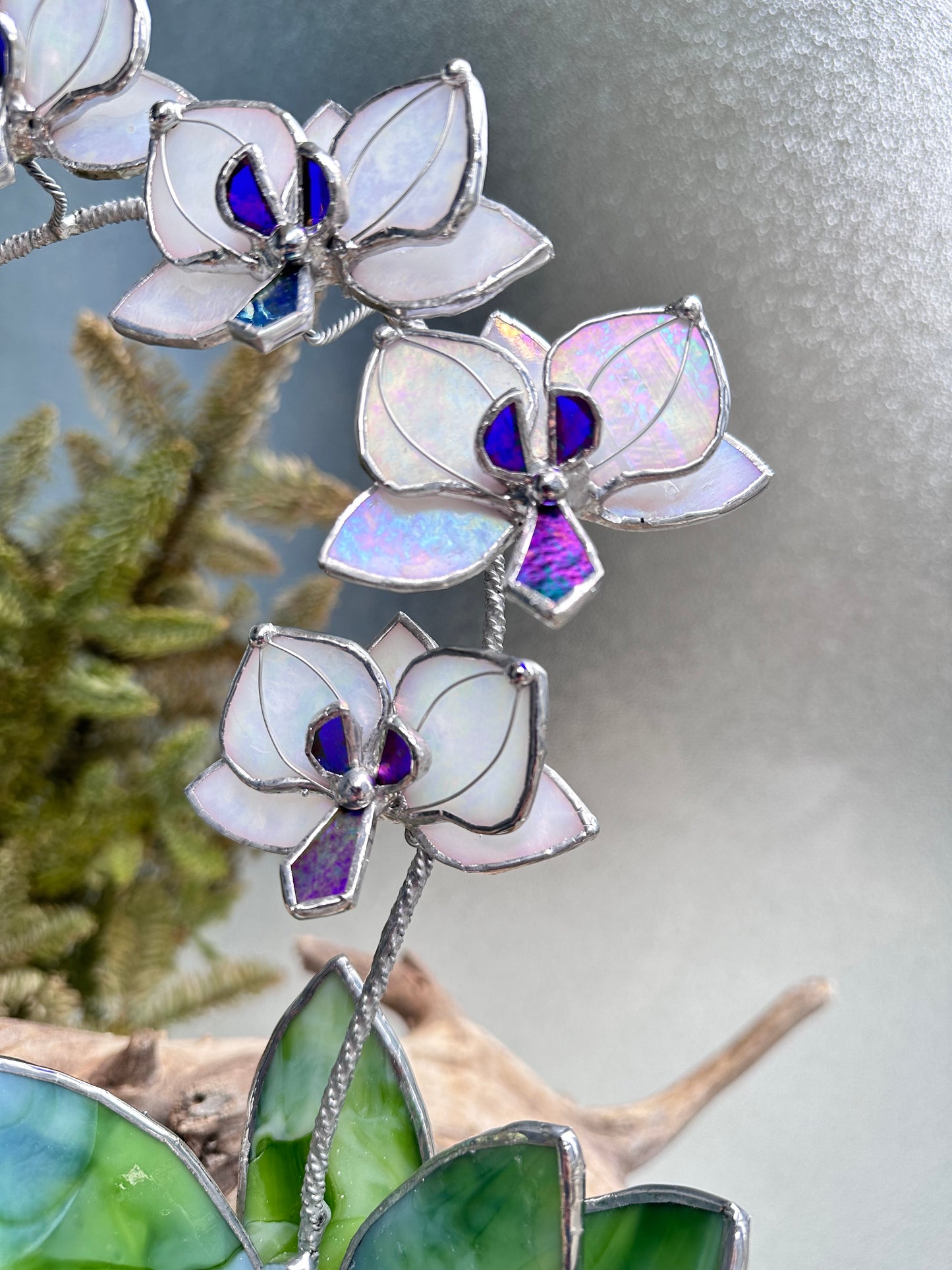 ". White Pearl iridescent Orchid 5 flowers with pot” Stained glass tropical flower 3D, Sun catcher, Table plant decor, Garden stick, Outdoor and gardening decor