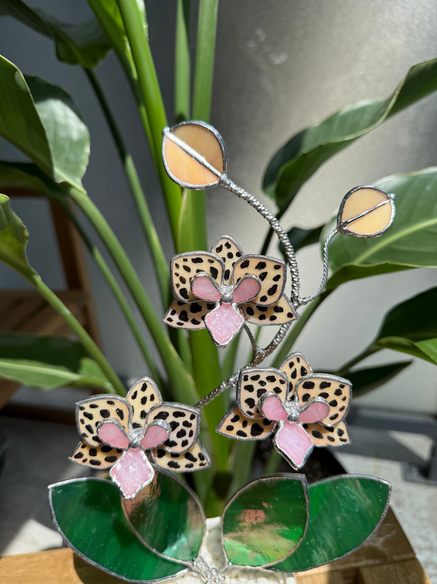 .Hand Painted Tiger Orchid in a pot, 3 flowers Botanical Stained Glass Modern Art Decor new