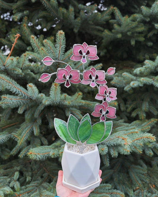 " .Baby Pink Orchid 5 flowers with pot" Stained glass tropical flower 3D, Sun catcher, Table plant, Garden stick, wedding decor, Christmas gift