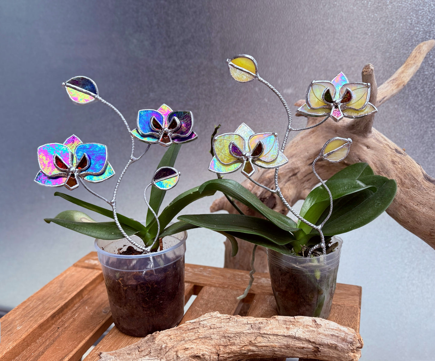" . Indigo irid Orchid flower stick, Plant stake 2 flowers no pot” Stained glass tropical flower 3D, Sun catcher, Table plant, Garden stick, Outdoor and gardening decor