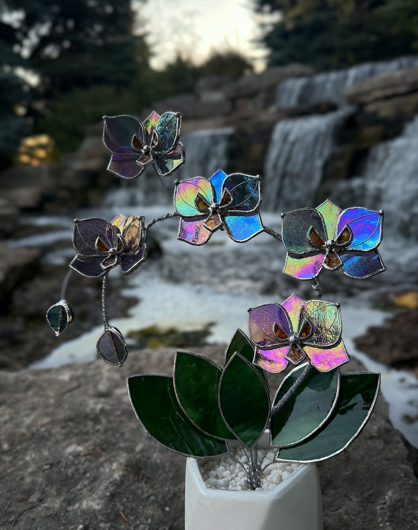 " . Butterfly Orchid Purple transparent iridescent, 5 flowers with pot”, Stained glass tropical flower 3D, Suncatcher, Table plant sale