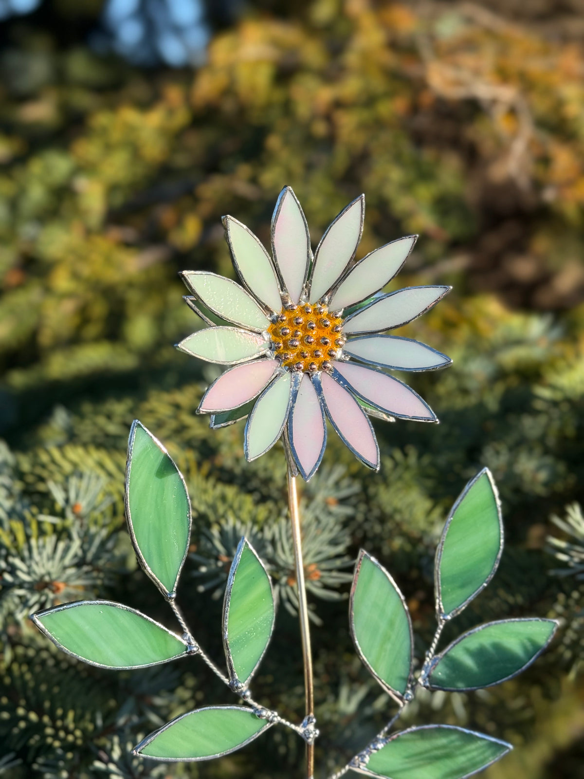 Daisy flower White Pearl, Stained Glass Botanical Art, Modern Decor Wildflower