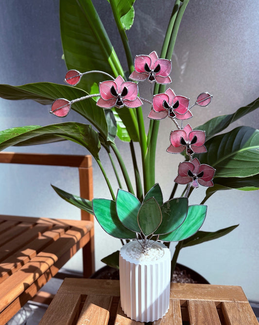 Baby Pink Orchid 5 Flowers, Handmade Stained Glass Botanical Art Decor