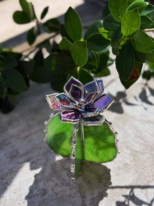 "Cactus Purple transparent irid & green irid" Stained glass Succulent 3D design, house plant for flower pot, Sun catcher