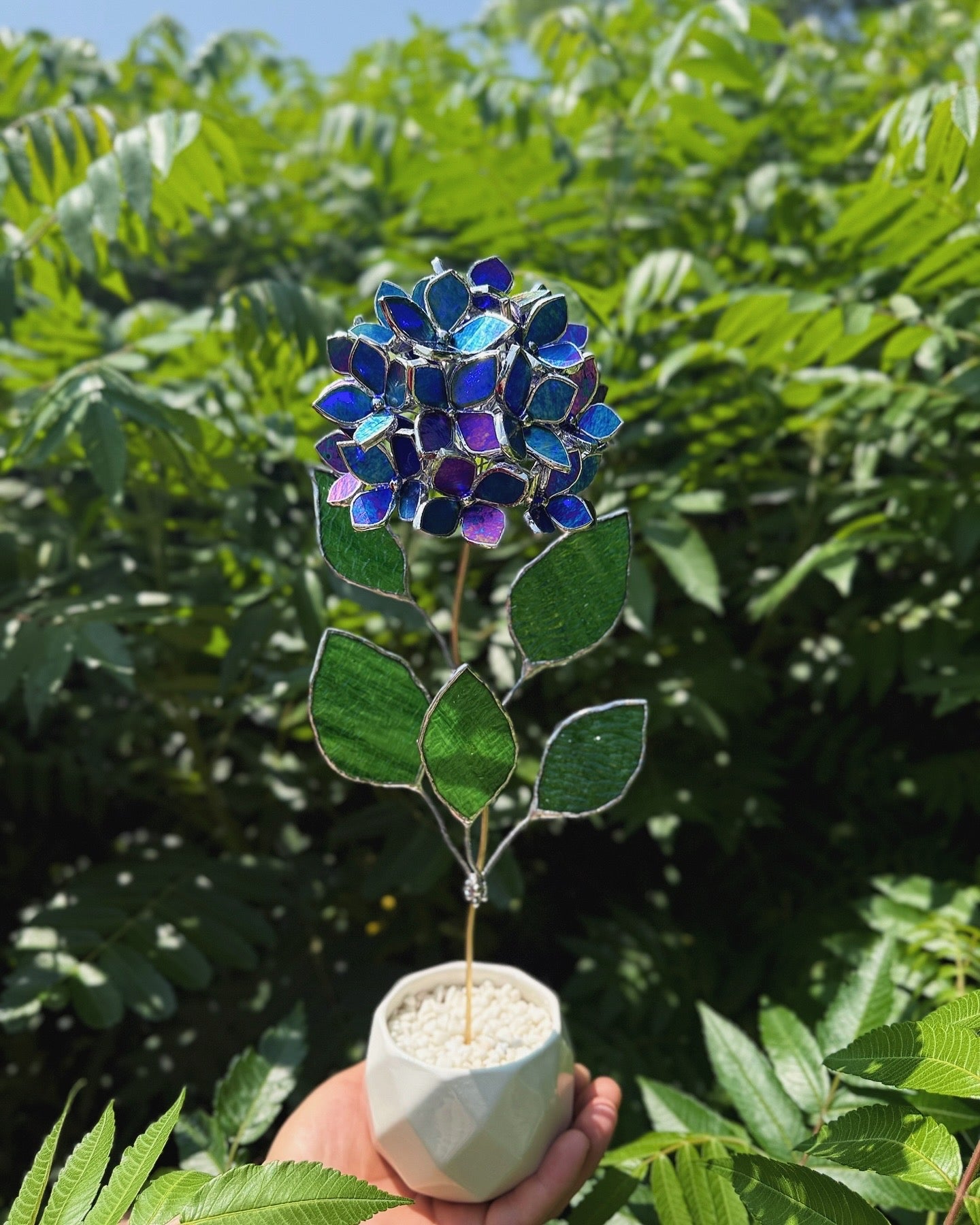 " . Beautiful Hydrangea Indigo iridescent bunch in the pot”, Stained glass tropical flower