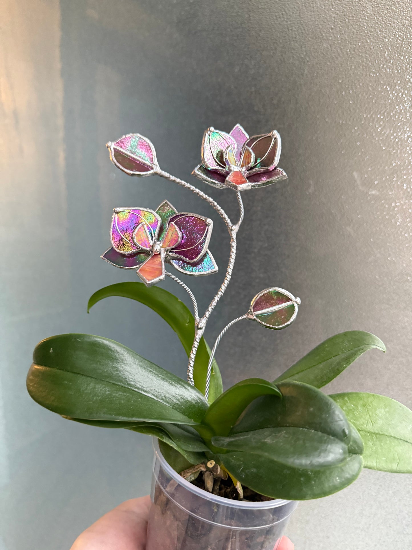 " . Mauve irid Orchid flower stick, Plant stake 2 flowers no pot” Stained glass tropical flower 3D, Sun catcher, Table plant, Garden stick, Outdoor and gardening decor (Copy)