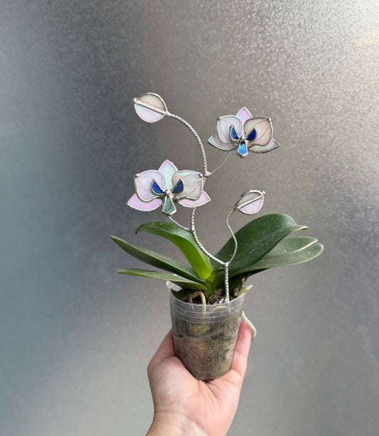 " . Orchid White pearl iridescent flower stick, Plant stake 2 flowers no pot” Stained glass tropical flower 3D, Sun catcher, Table plant, Garden stick, Outdoor and gardening decor