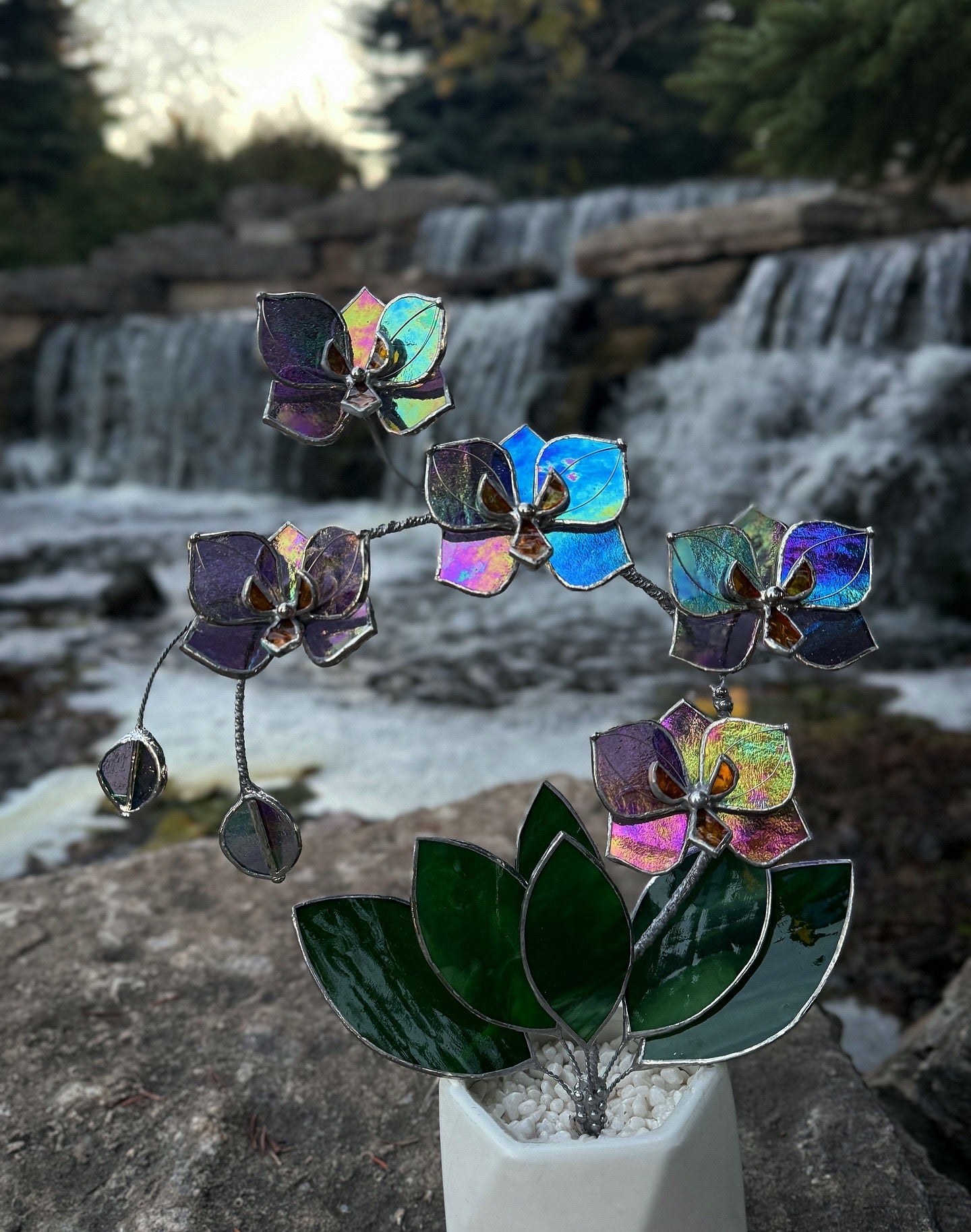 " . Butterfly Orchid Purple transparent iridescent, 5 flowers with pot”, Stained glass tropical flower 3D, Suncatcher, Table plant sale