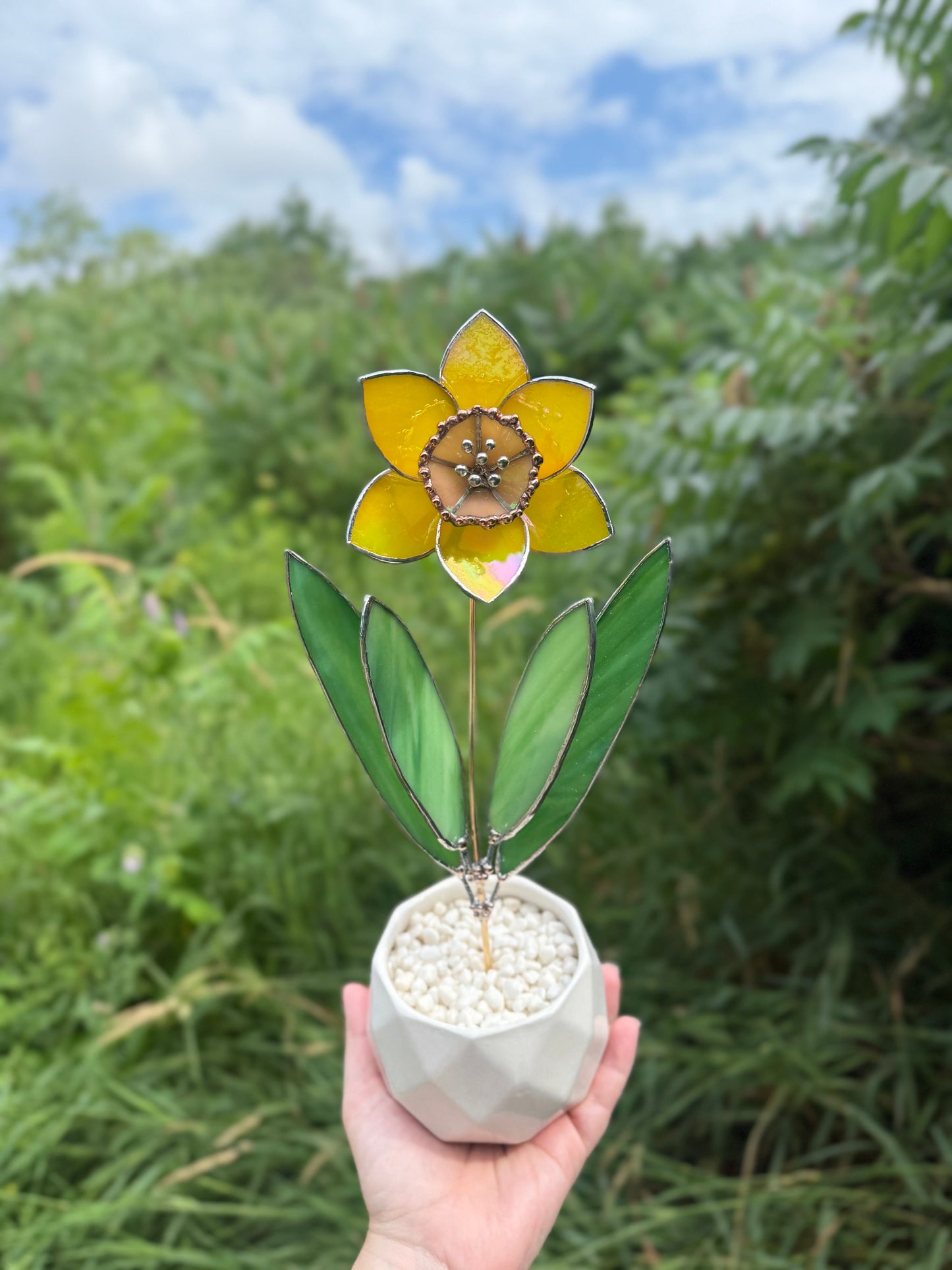 .Lemon Yellow Lumi Daffodil Flower Stained glass tropical flower new