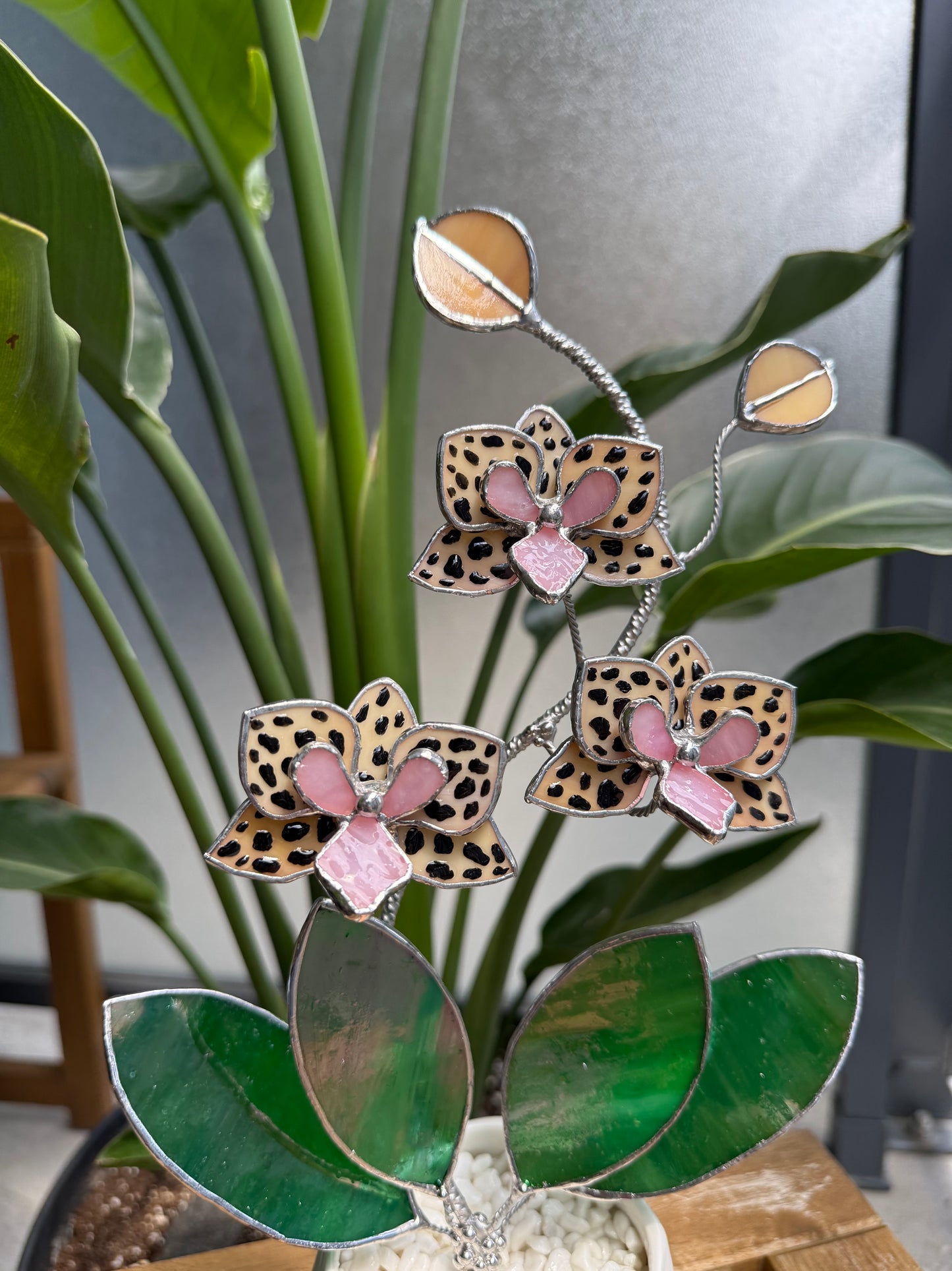 .Hand Painted Tiger Orchid in a pot, 3 flowers Botanical Stained Glass Modern Art Decor new