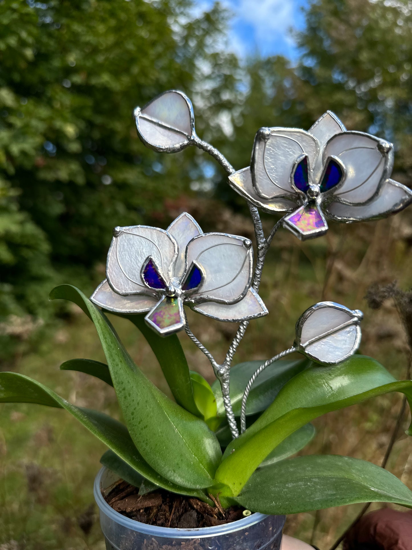 " . White pearl iridescent Orchid flower stick, Plant stake 2 flowers no pot” Stained glass tropical flower 3D, Sun catcher, Table plant, Garden stick, Outdoor and gardening decor