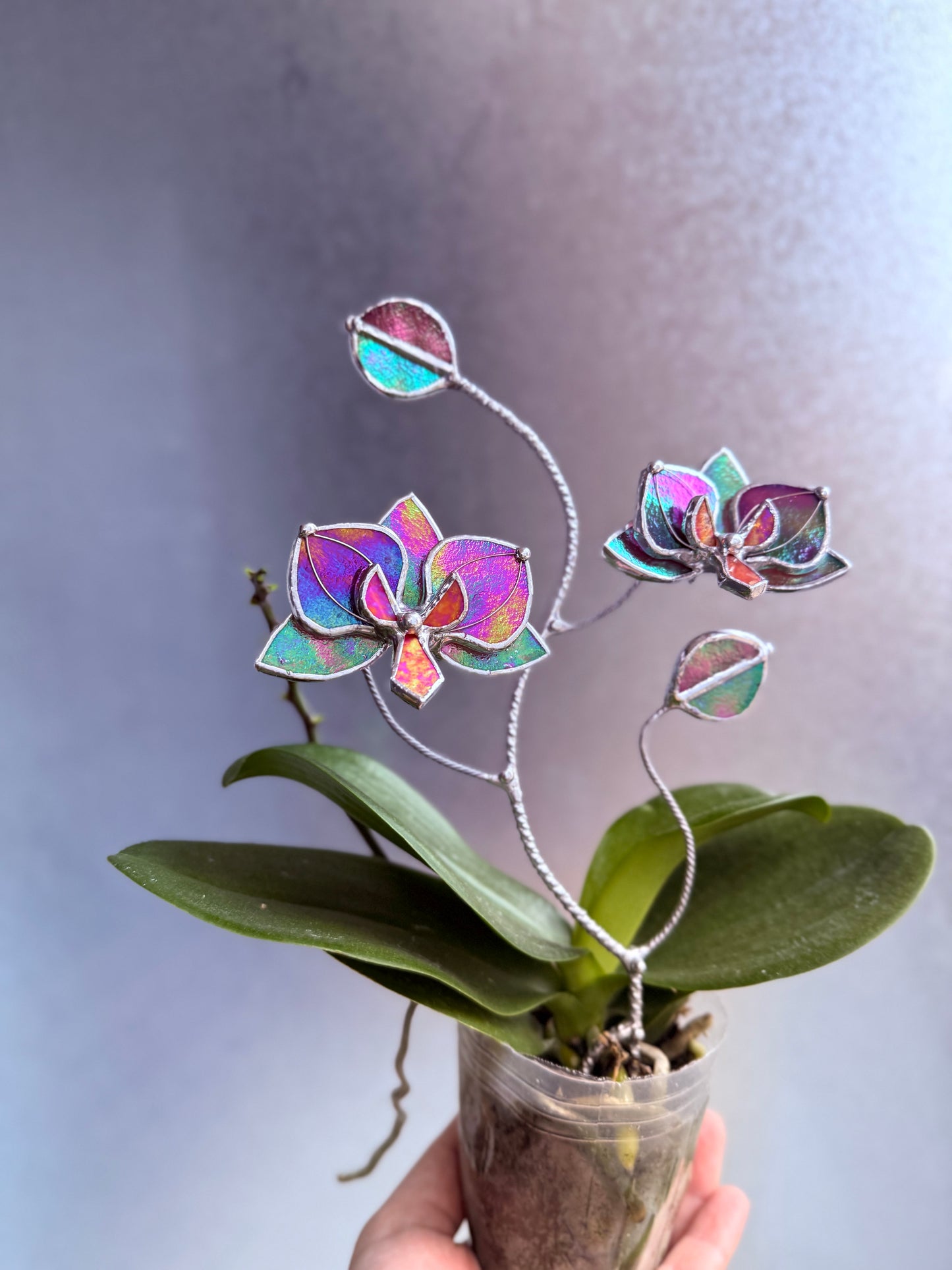 " . Mauve irid Orchid flower stick, Plant stake 2 flowers no pot” Stained glass tropical flower 3D, Sun catcher, Table plant, Garden stick, Outdoor and gardening decor