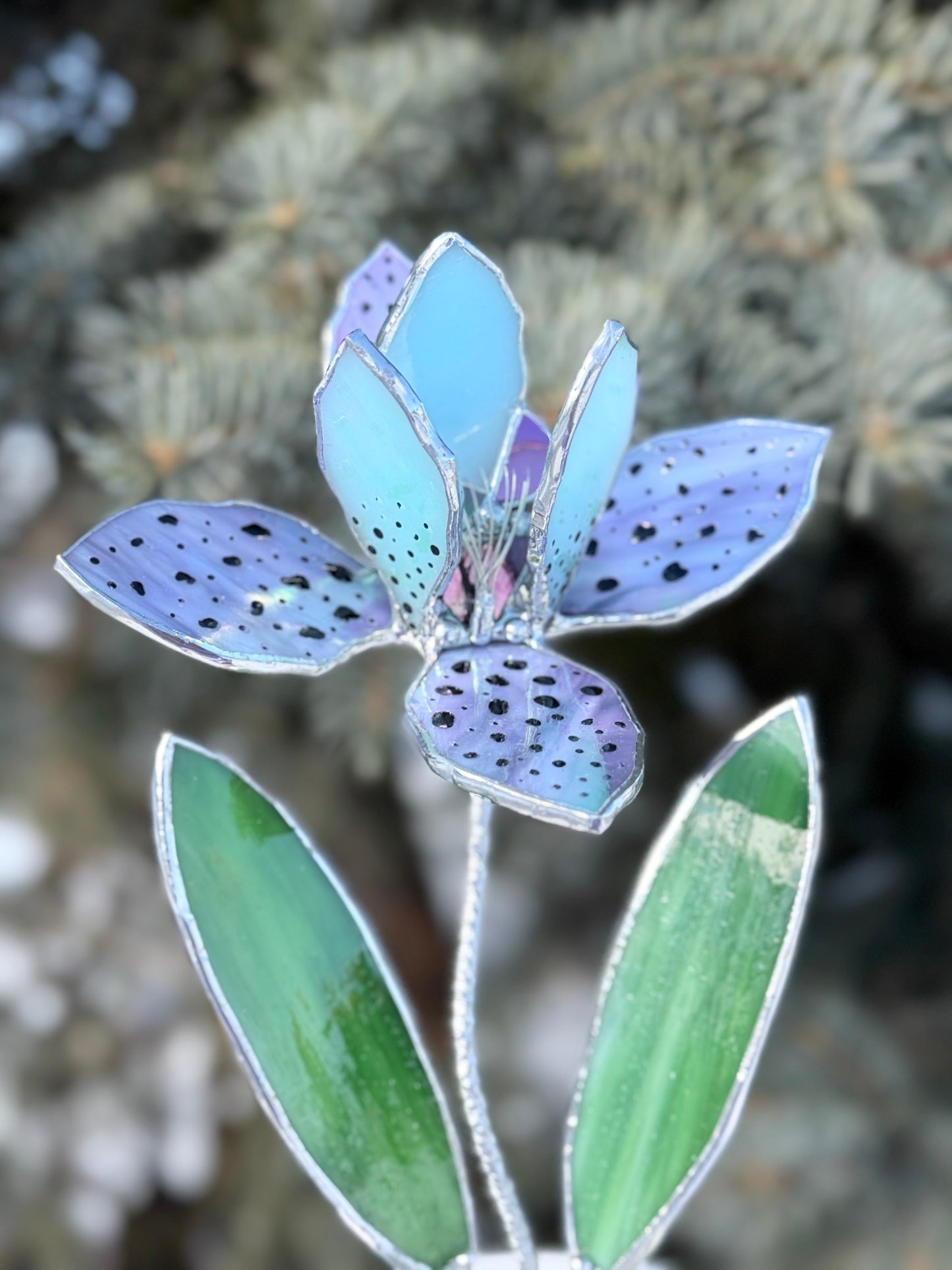 .Tropical Orchid in a pot, Botanical Stained Glass Modern Art Decor