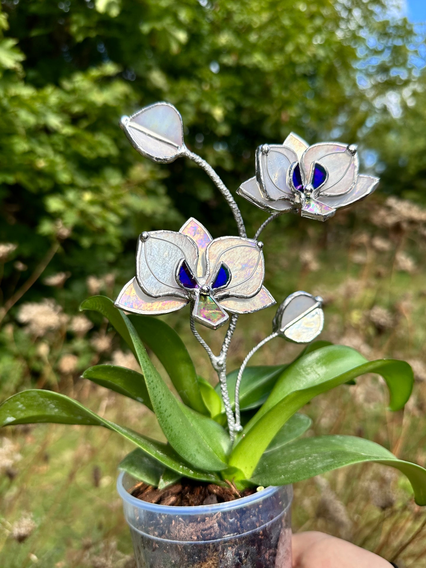 " . White pearl iridescent Orchid flower stick, Plant stake 2 flowers no pot” Stained glass tropical flower 3D, Sun catcher, Table plant, Garden stick, Outdoor and gardening decor