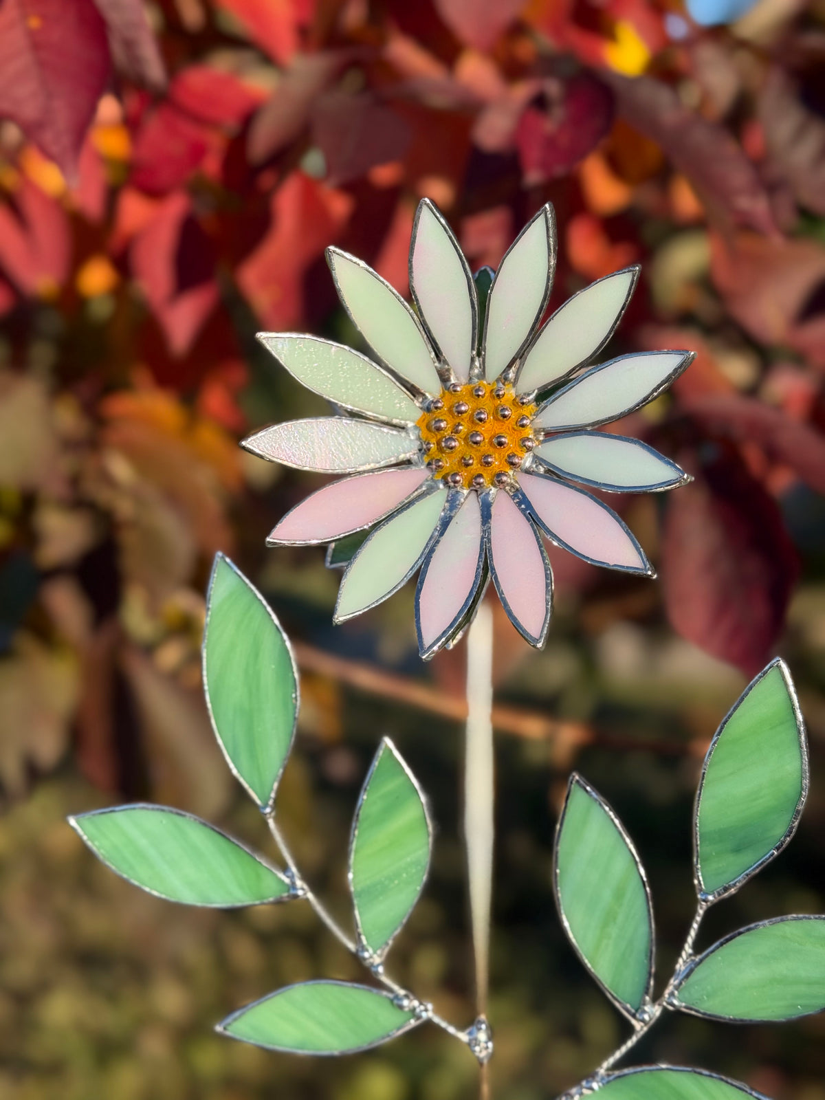 Daisy flower White Pearl, Stained Glass Botanical Art, Modern Decor Wildflower