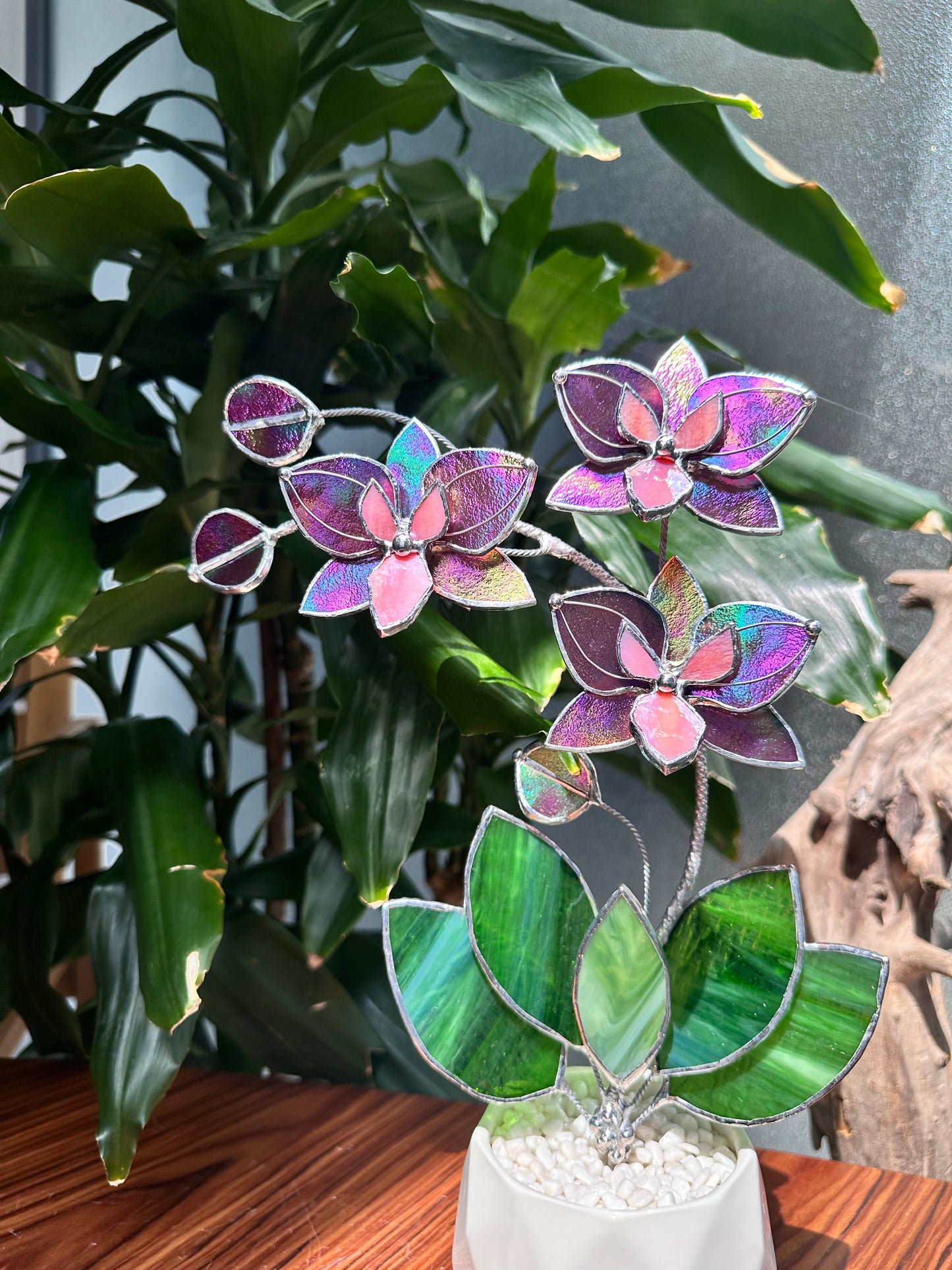 " . Mauve iridescent Butterfly Orchid 3 flowers with pot” Stained glass tropical flower 3D, Sun catcher, Table plant, Garden stick, Outdoor and gardening decor