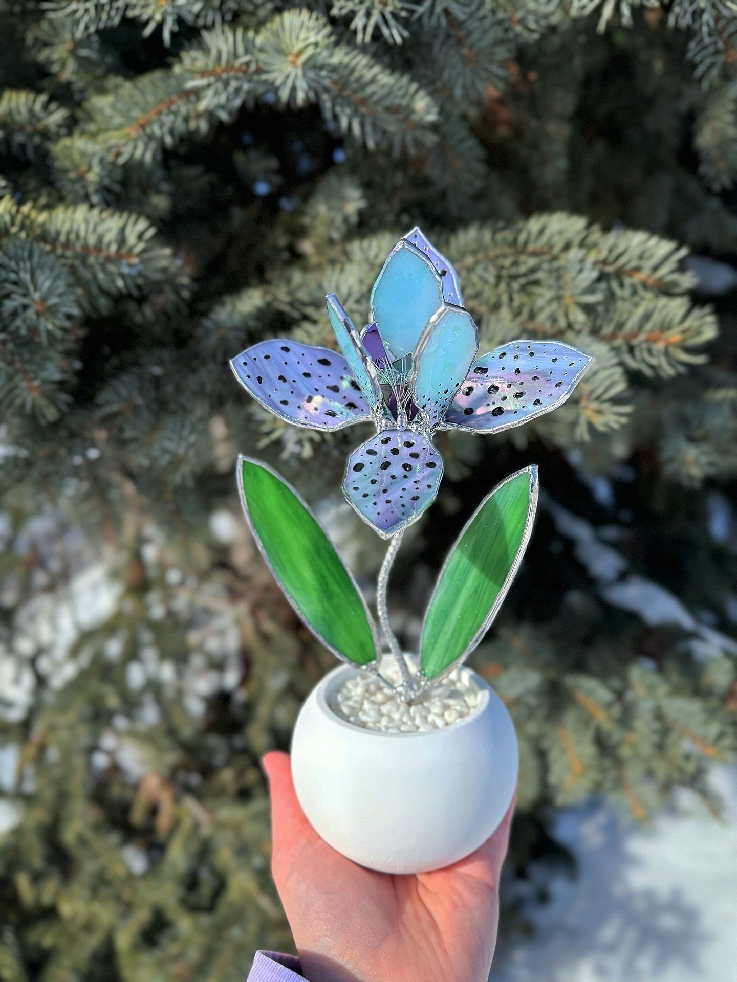 .Tropical Orchid in a pot, Botanical Stained Glass Modern Art Decor