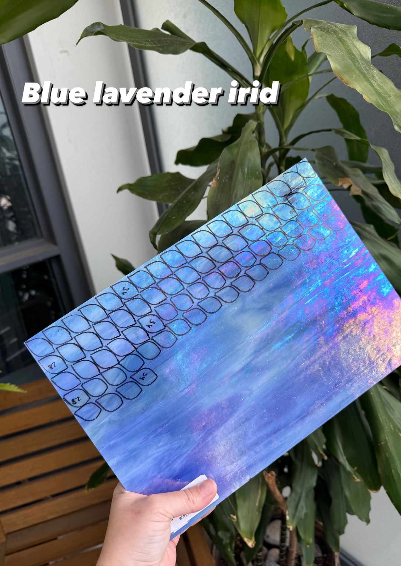 CHOOSE COLOR Hydrangea Mirror”, Stained glass tropical flower 3D