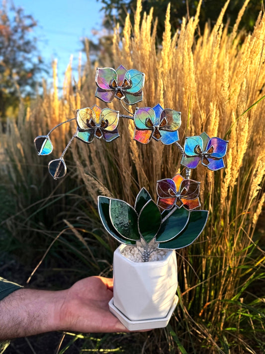 " .  Butterfly Orchid Purple transparent iridescent, 5 flowers with pot”, Stained glass tropical flower 3D, Suncatcher, Table plant