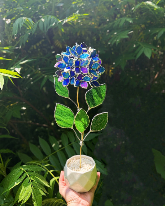 " . Beautiful Hydrangea Indigo iridescent bunch in the pot”, Stained glass tropical flower