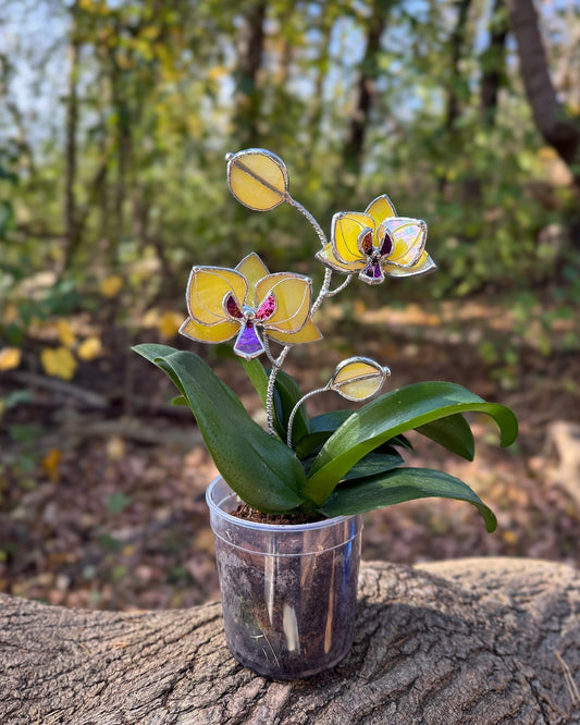 " . Lemon yellow irid Orchid flower stick, Plant stake 2 flowers no pot” Stained glass tropical flower 3D, Sun catcher, Table plant, Garden stick, Outdoor and gardening decor (Copy)