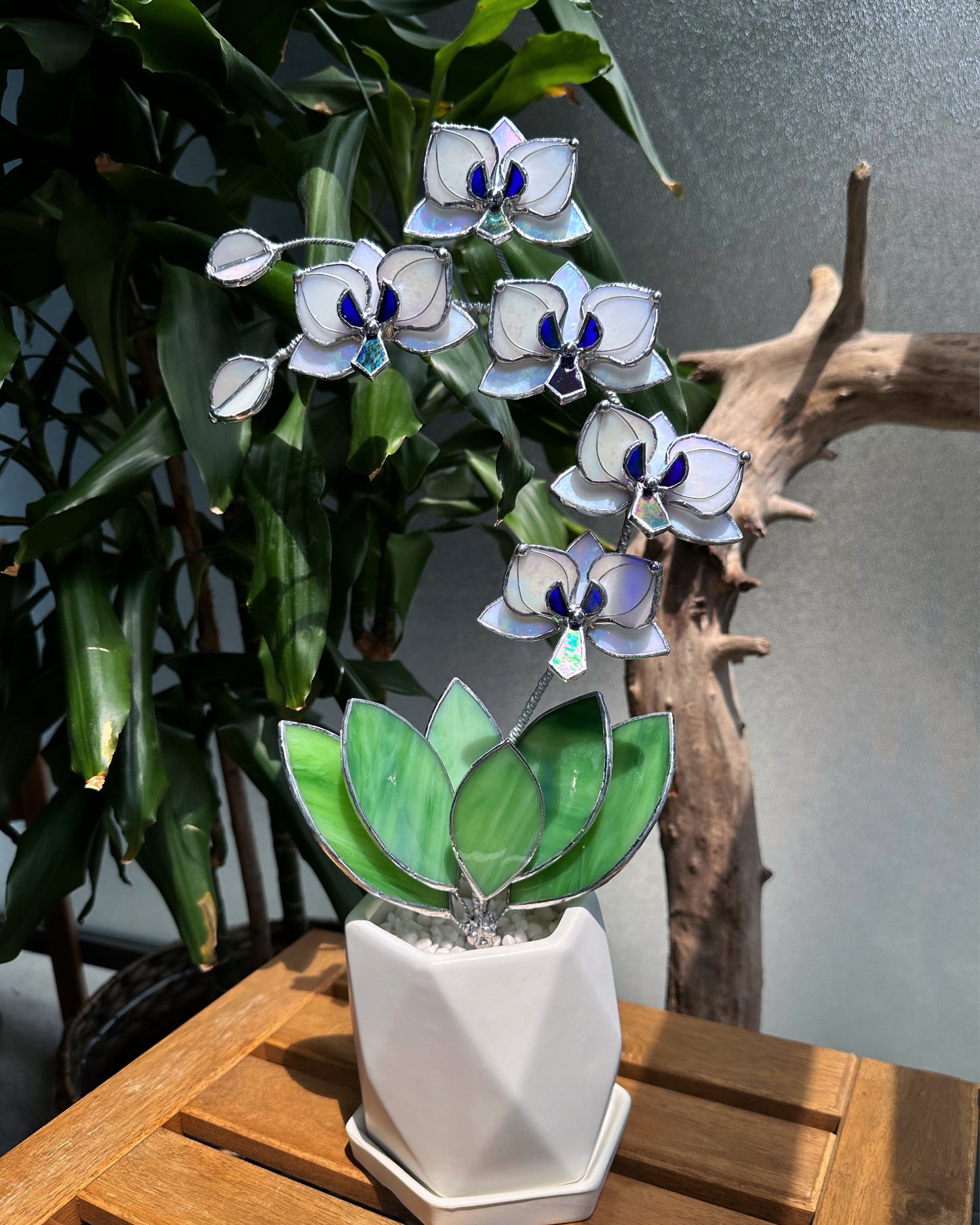 ". White Pearl iridescent Orchid 5 flowers with pot” Stained glass tropical flower 3D, Sun catcher, Table plant decor, Garden stick, Outdoor and gardening decor