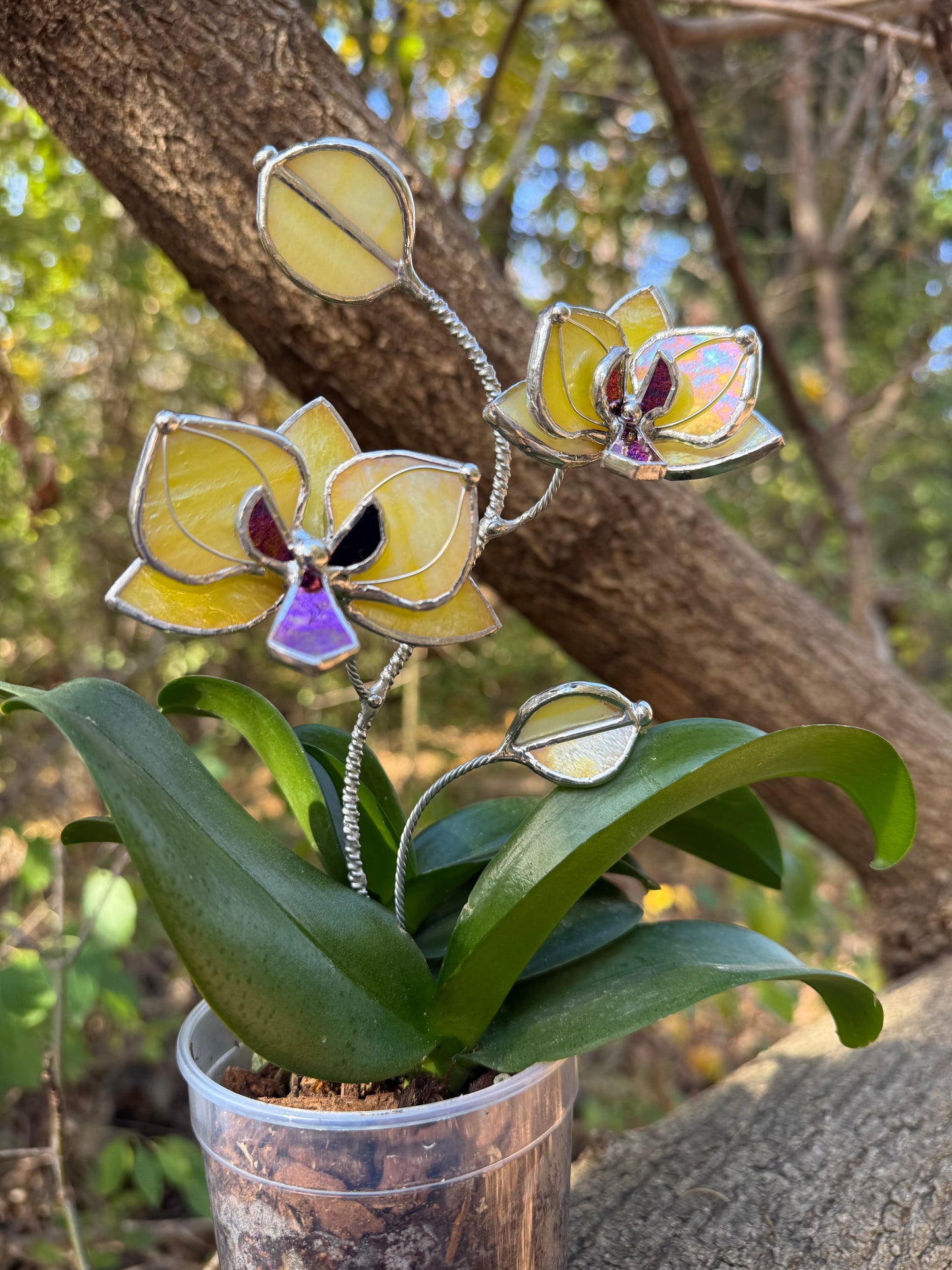 " . Lemon yellow irid Orchid flower stick, Plant stake 2 flowers no pot” Stained glass tropical flower 3D, Sun catcher, Table plant, Garden stick, Outdoor and gardening decor (Copy)