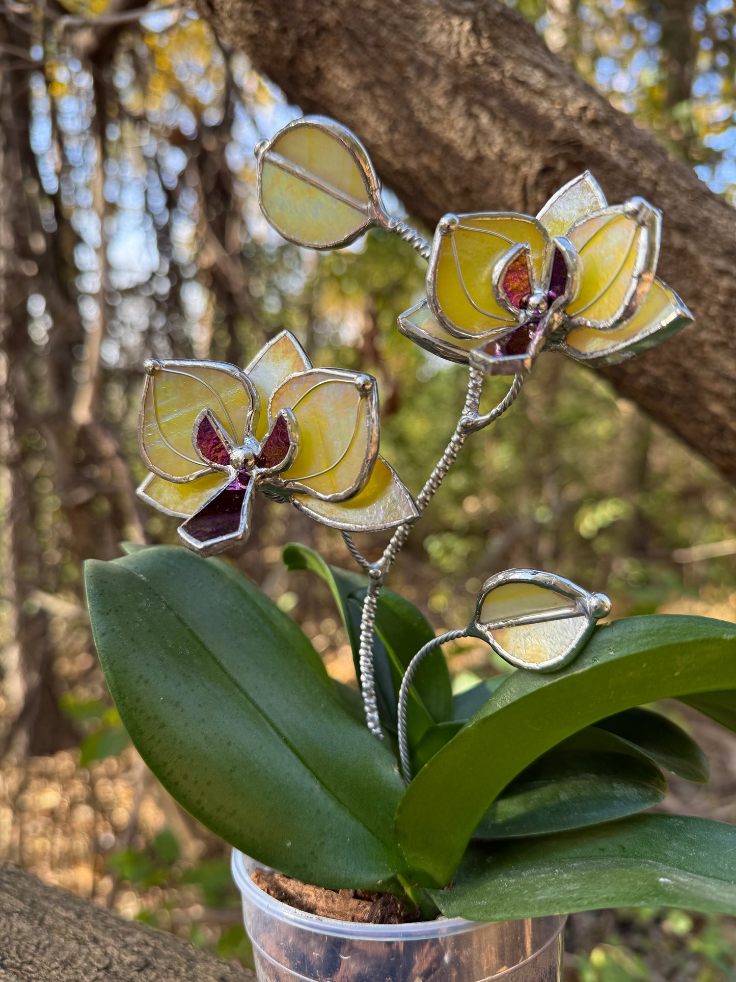 " . Lemon yellow irid Orchid flower stick, Plant stake 2 flowers no pot” Stained glass tropical flower 3D, Sun catcher, Table plant, Garden stick, Outdoor and gardening decor (Copy)