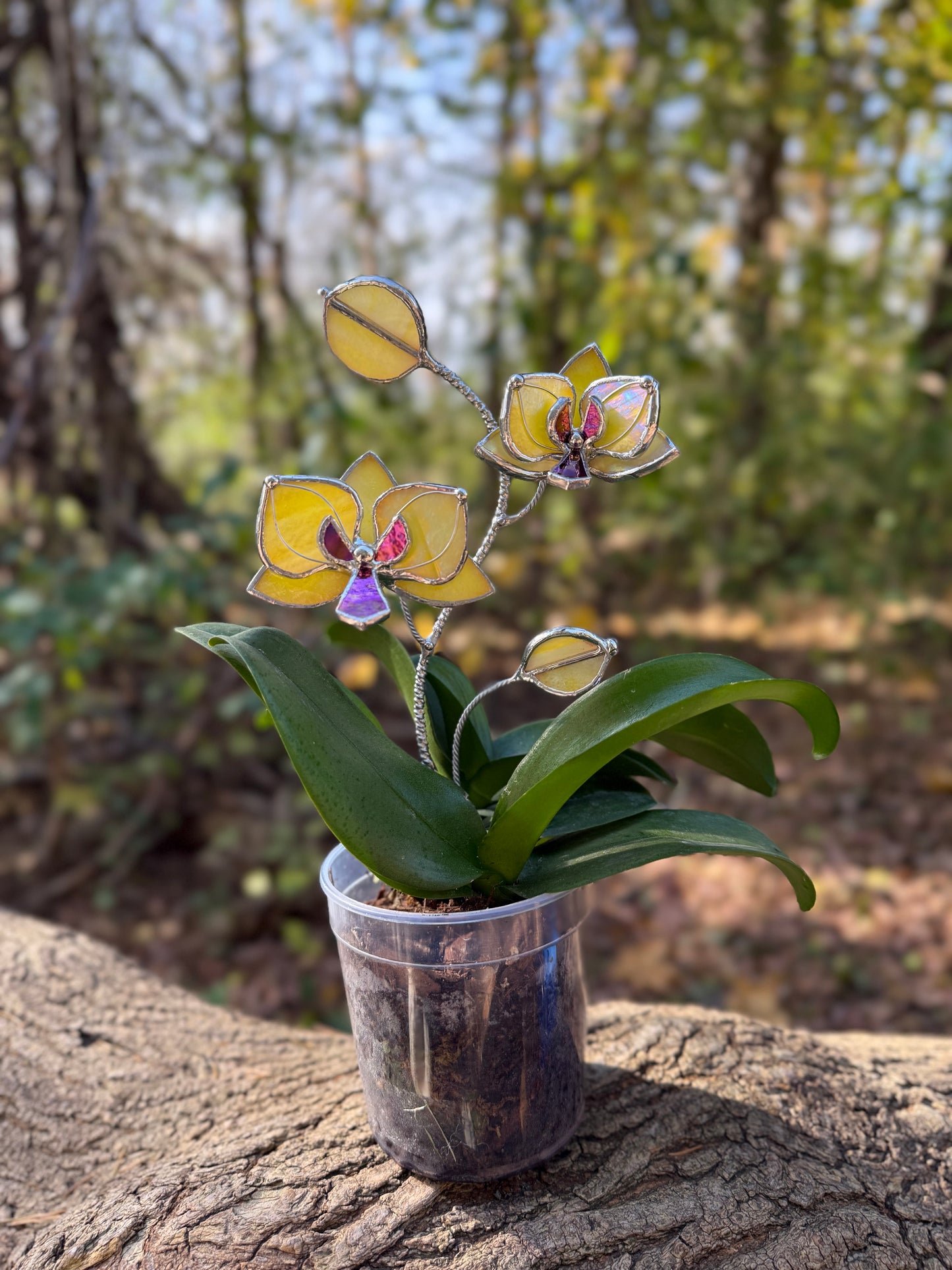 " . Lemon yellow irid Orchid flower stick, Plant stake 2 flowers no pot” Stained glass tropical flower 3D, Sun catcher, Table plant, Garden stick, Outdoor and gardening decor (Copy)