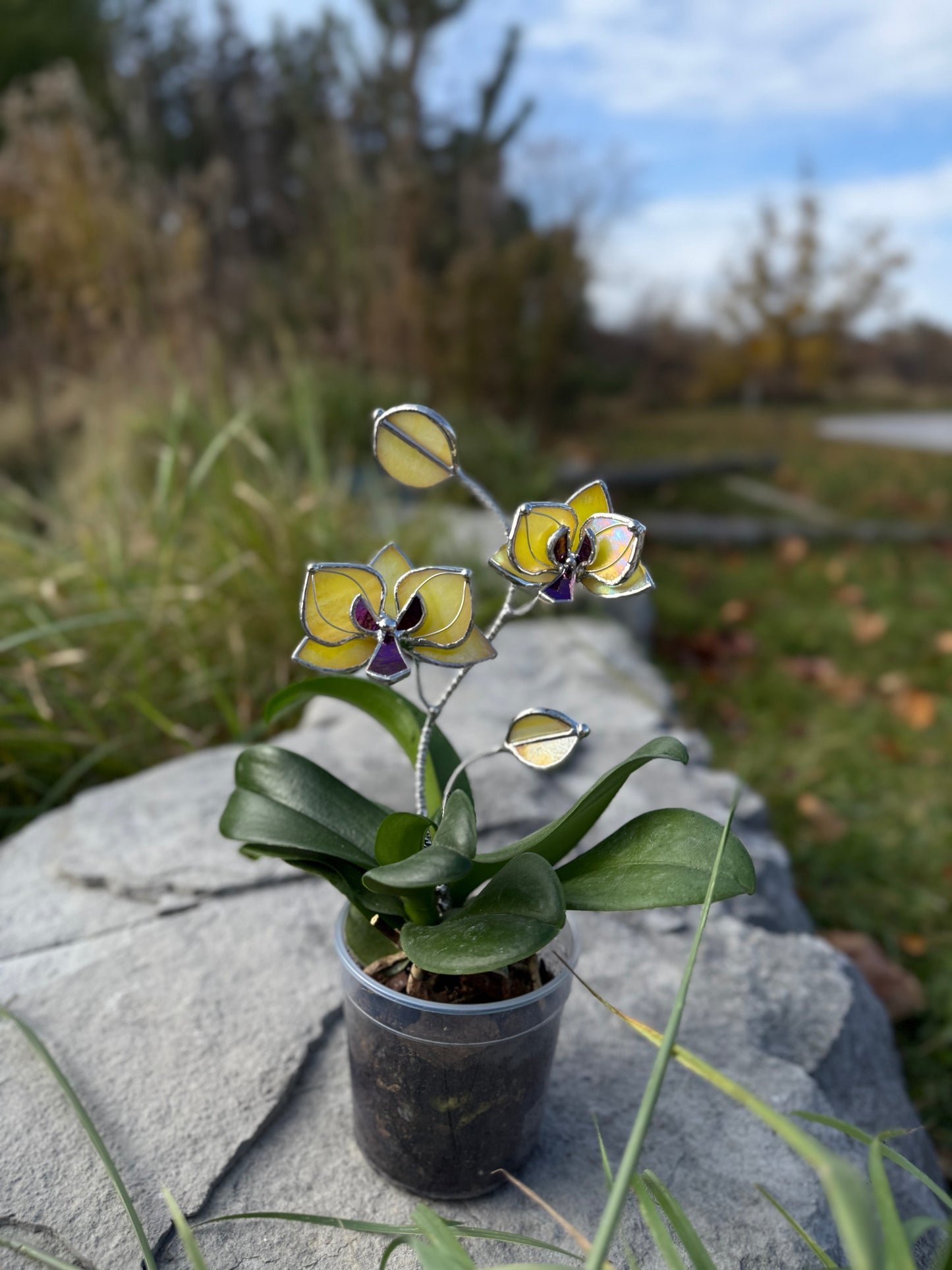 " . Lemon yellow irid Orchid flower stick, Plant stake 2 flowers no pot” Stained glass tropical flower 3D, Sun catcher, Table plant, Garden stick, Outdoor and gardening decor (Copy)