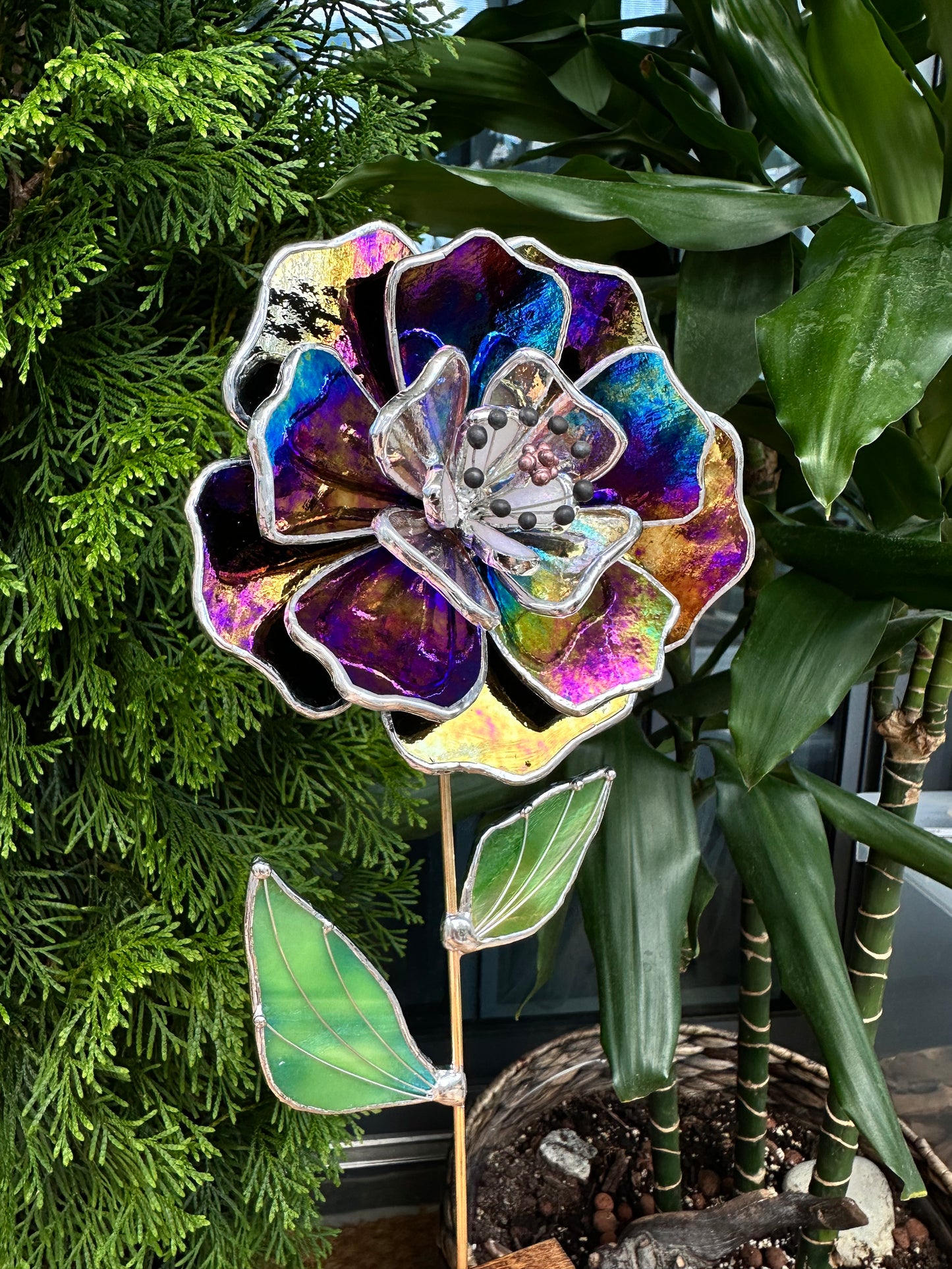 Multicolour Peony flower Iridescent, Stained glass tropical