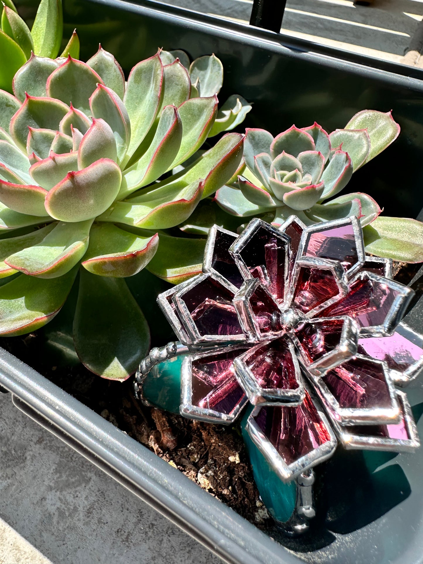 "Cactus XL blooming Pink sparkling Iridescent”, Stained glass Succulent 3D, Echeveria, everlasting plant