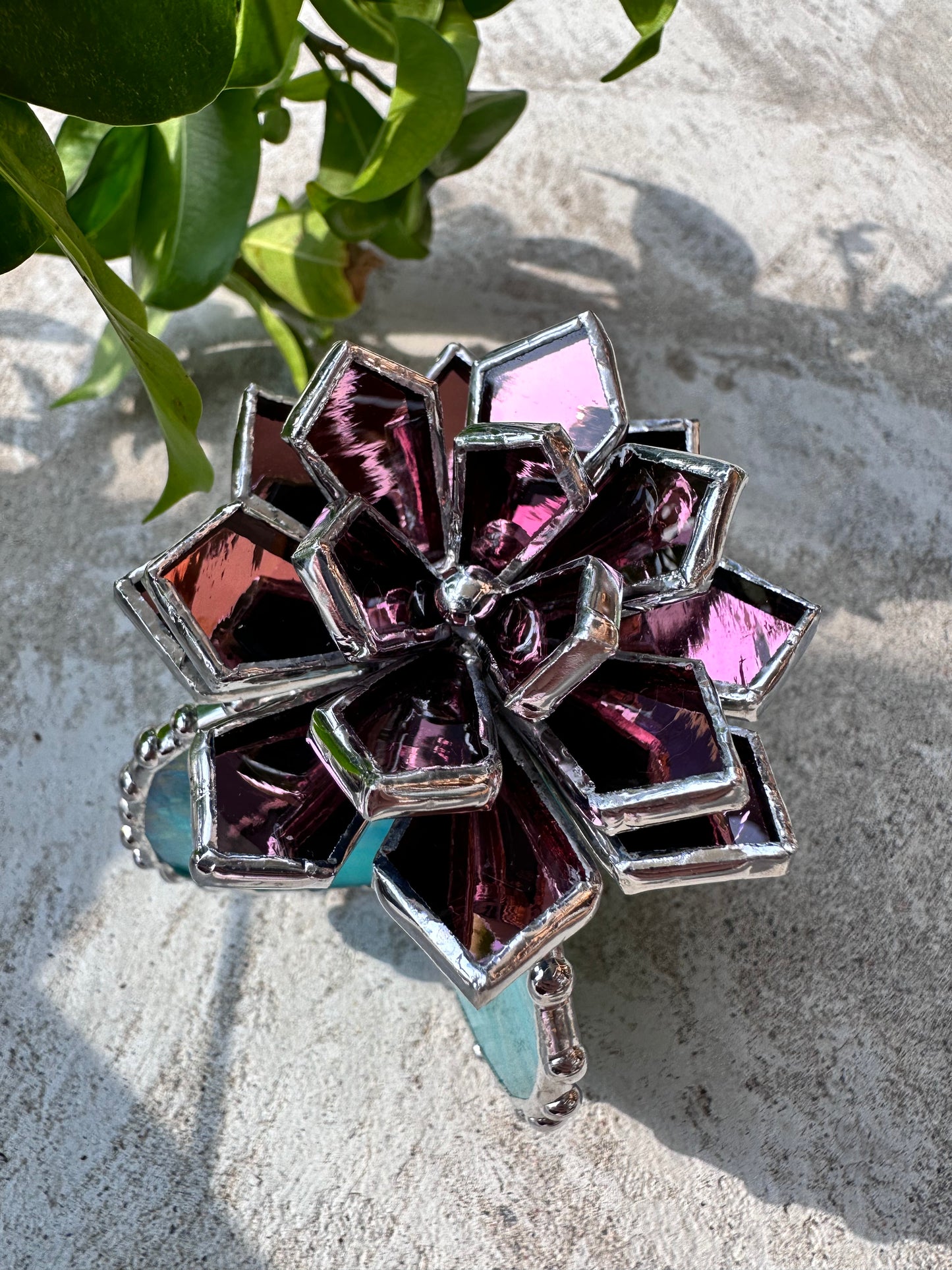 "Cactus XL blooming Pink sparkling Iridescent”, Stained glass Succulent 3D, Echeveria, everlasting plant