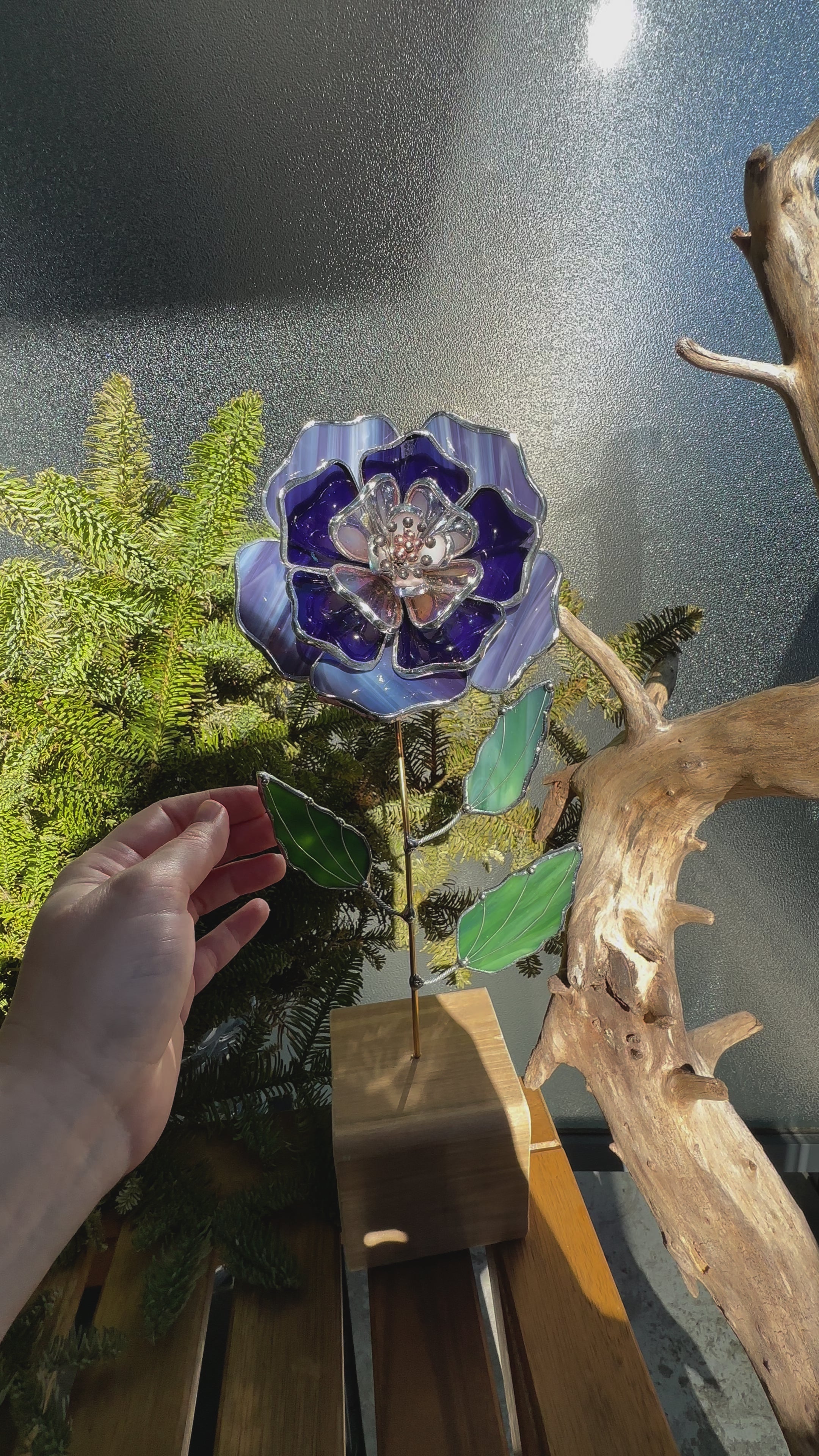 Beautiful Peony Lavender Violet