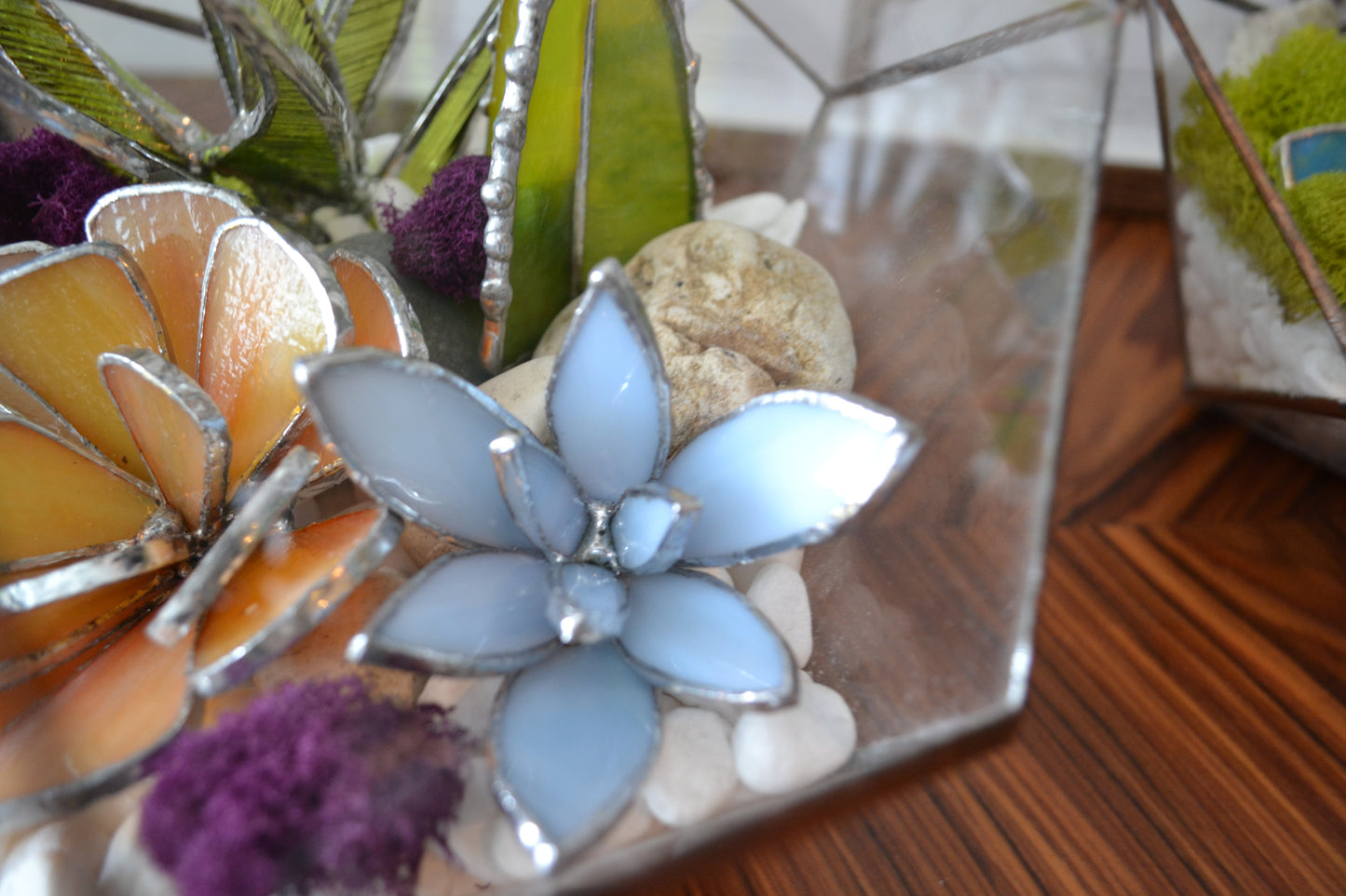 “ . Geometric glass terrarium with art glass 3D plants”